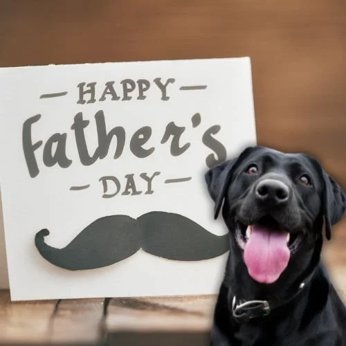 The Ultimate Father’s Day Gift Guide for Dog-Loving Dads