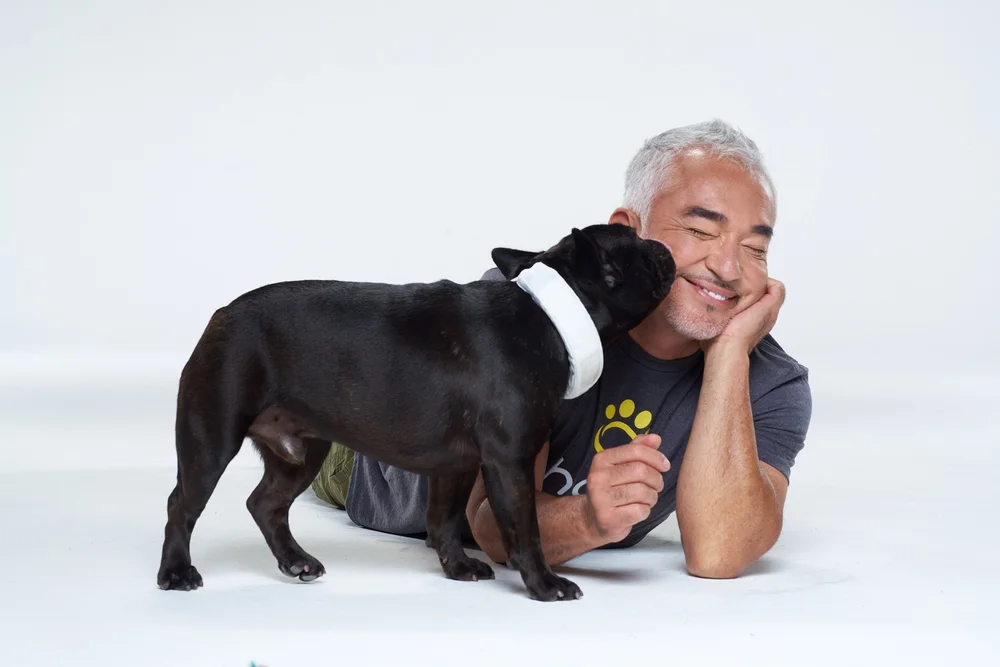 EXCLUSIVE: Cesar Millan Shares the Best Way to Celebrate National Puppy ...