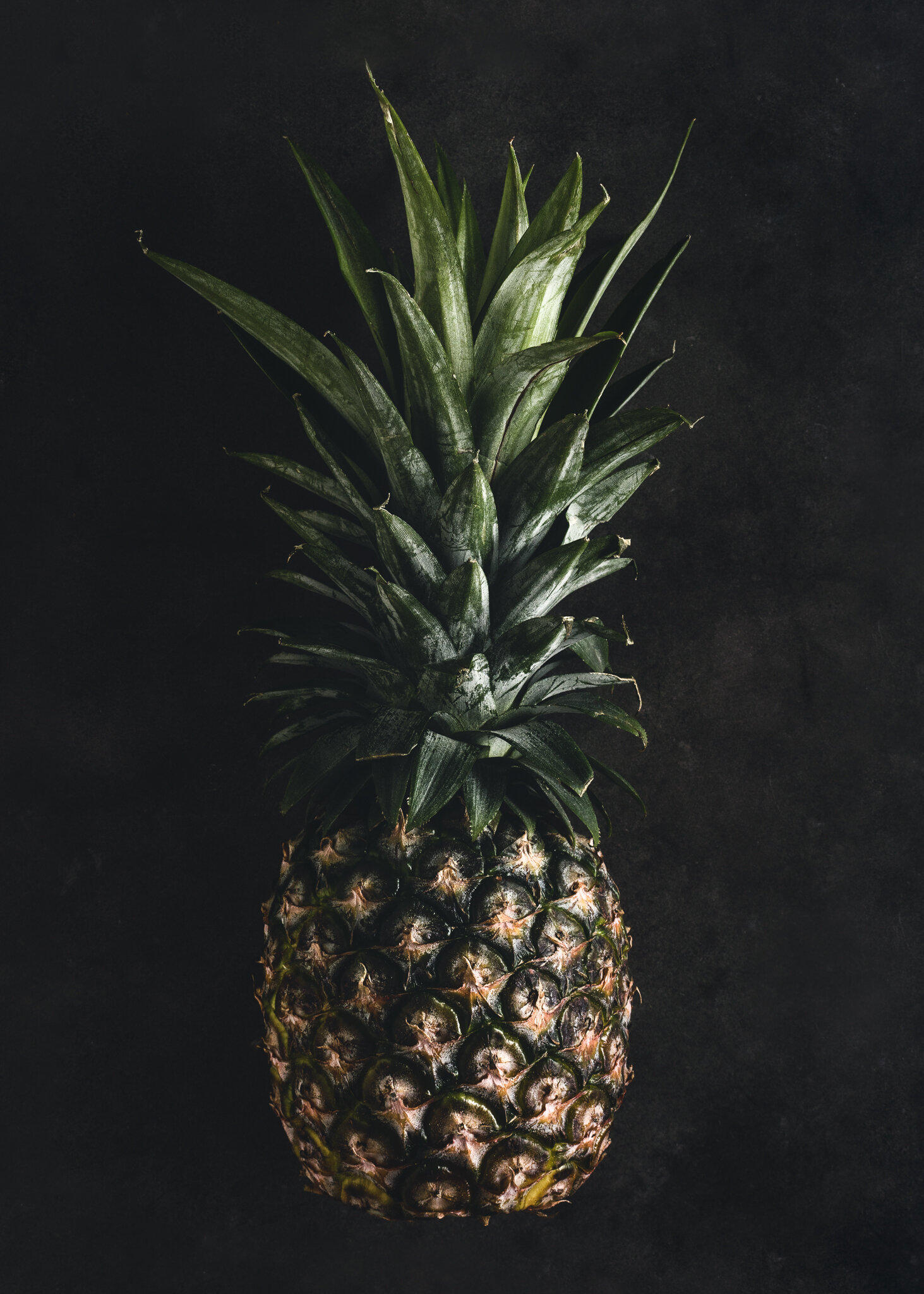 pineapple2-1.jpg