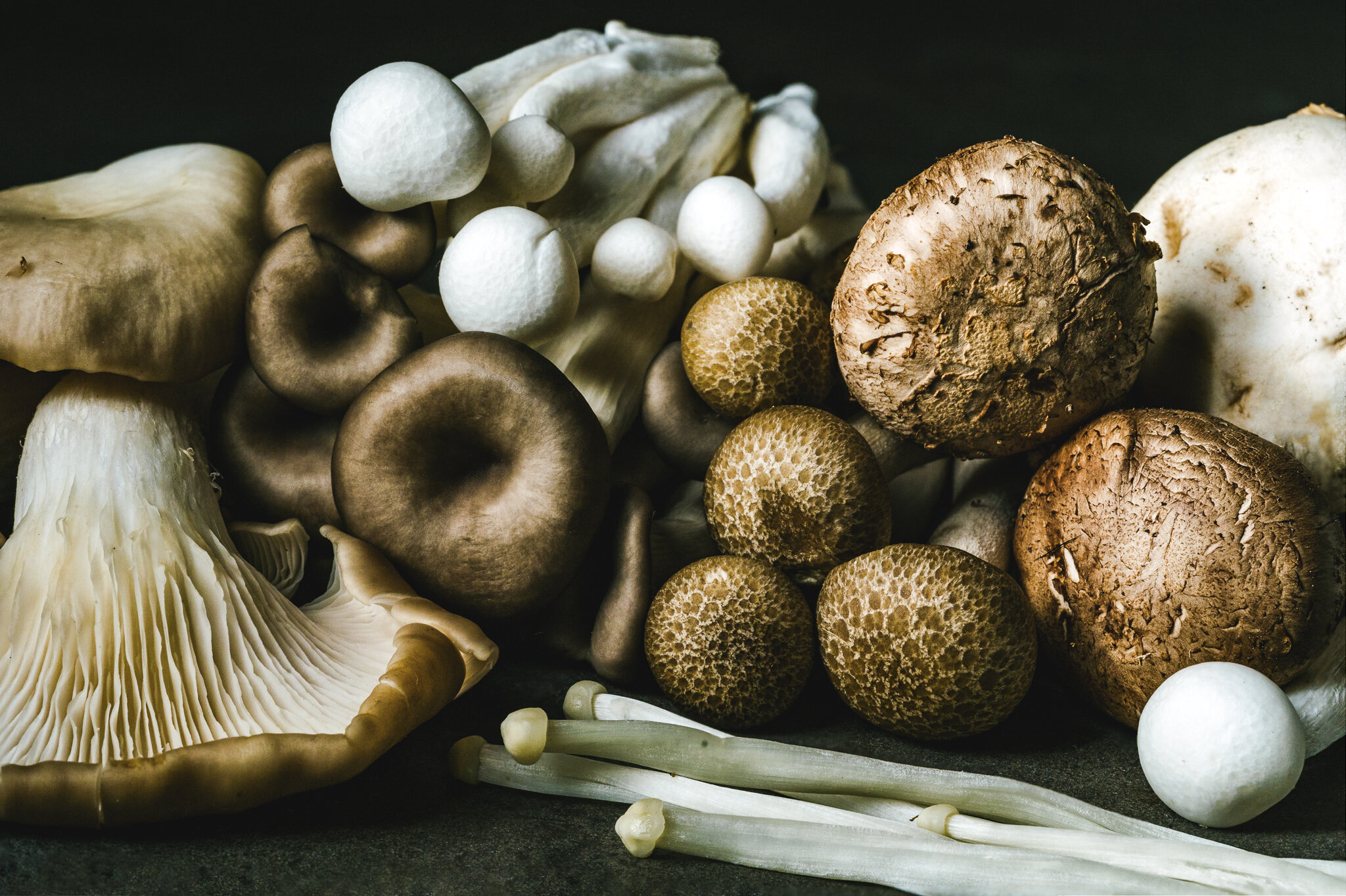  An assortment of mushrooms shot with a Sony 90mm Macro Lens. By Vietnam photographer, Lee Starnes 