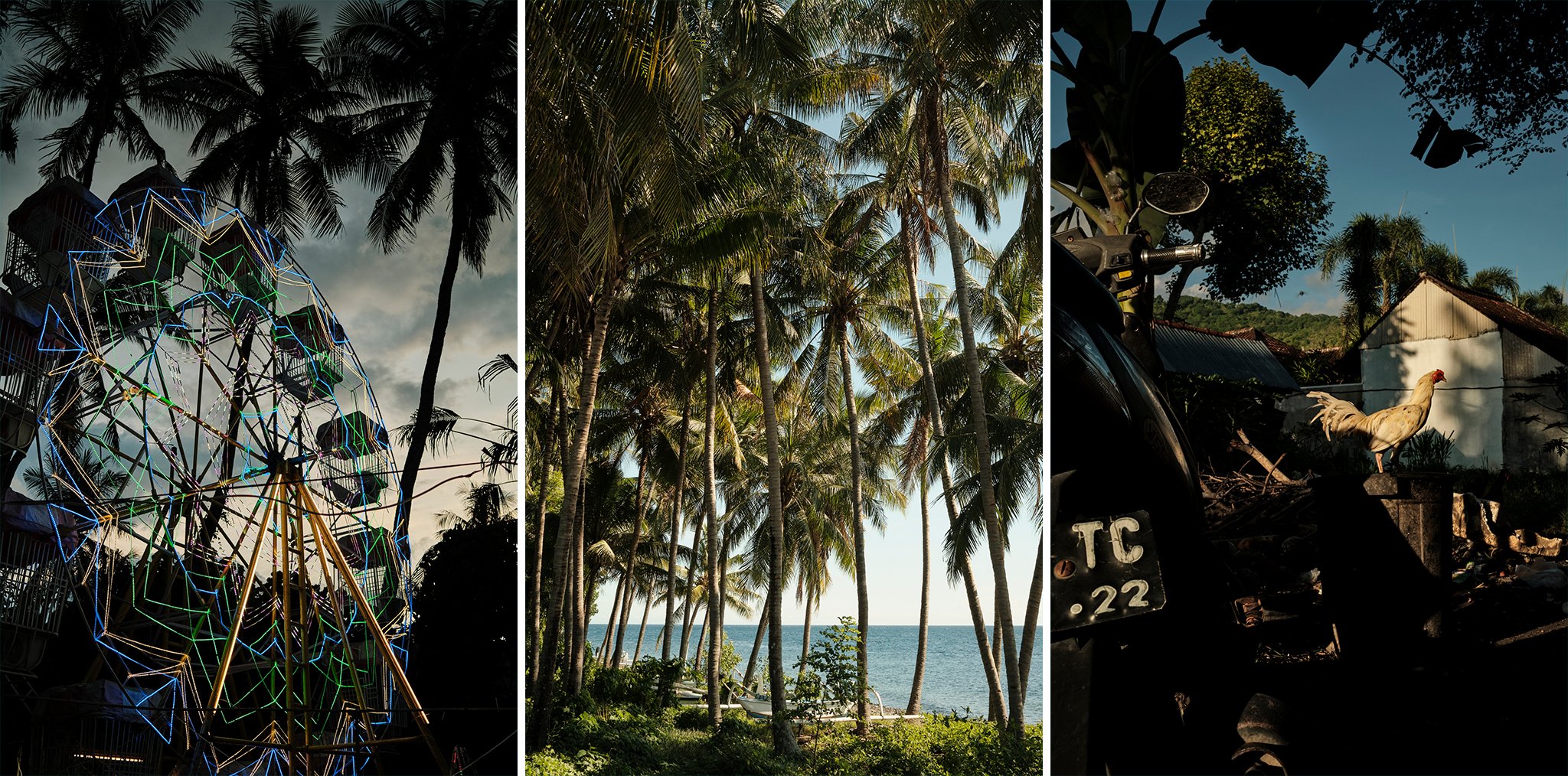 triptych.jpg