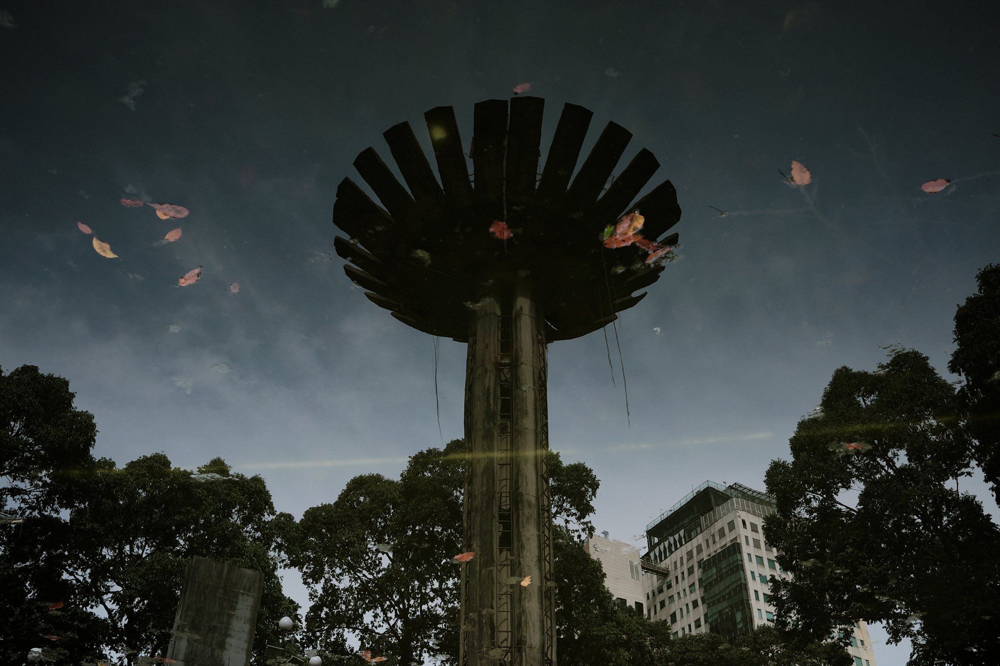 saigonrandom.LeeStarnes.May 19 2024.webuse.074..jpg