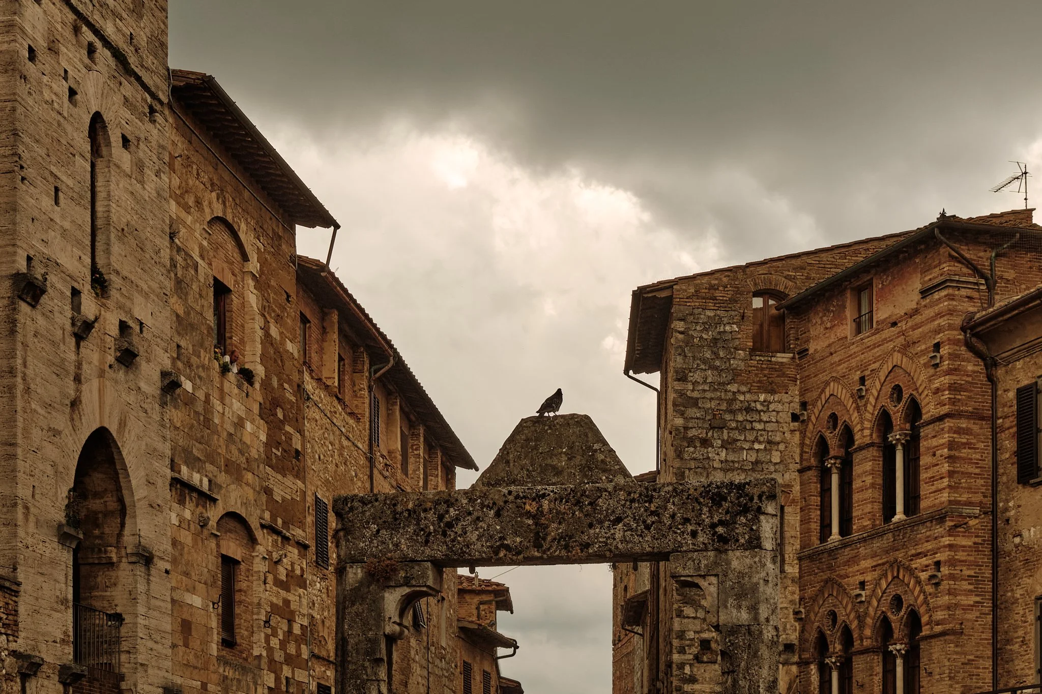 florence.webuse.leestarnes.italy.LeeStarnes.1485.jpg