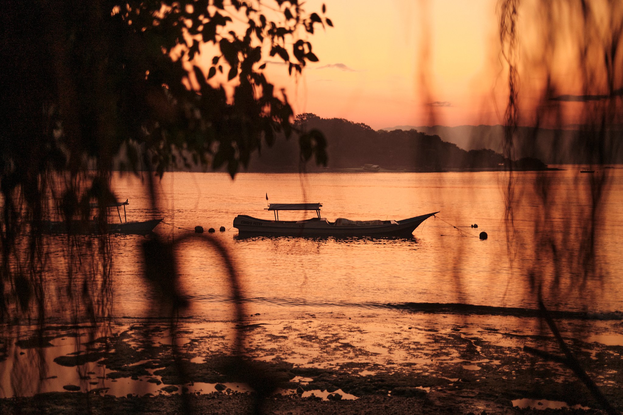 alor.part1.LeeStarnes.11.jpg