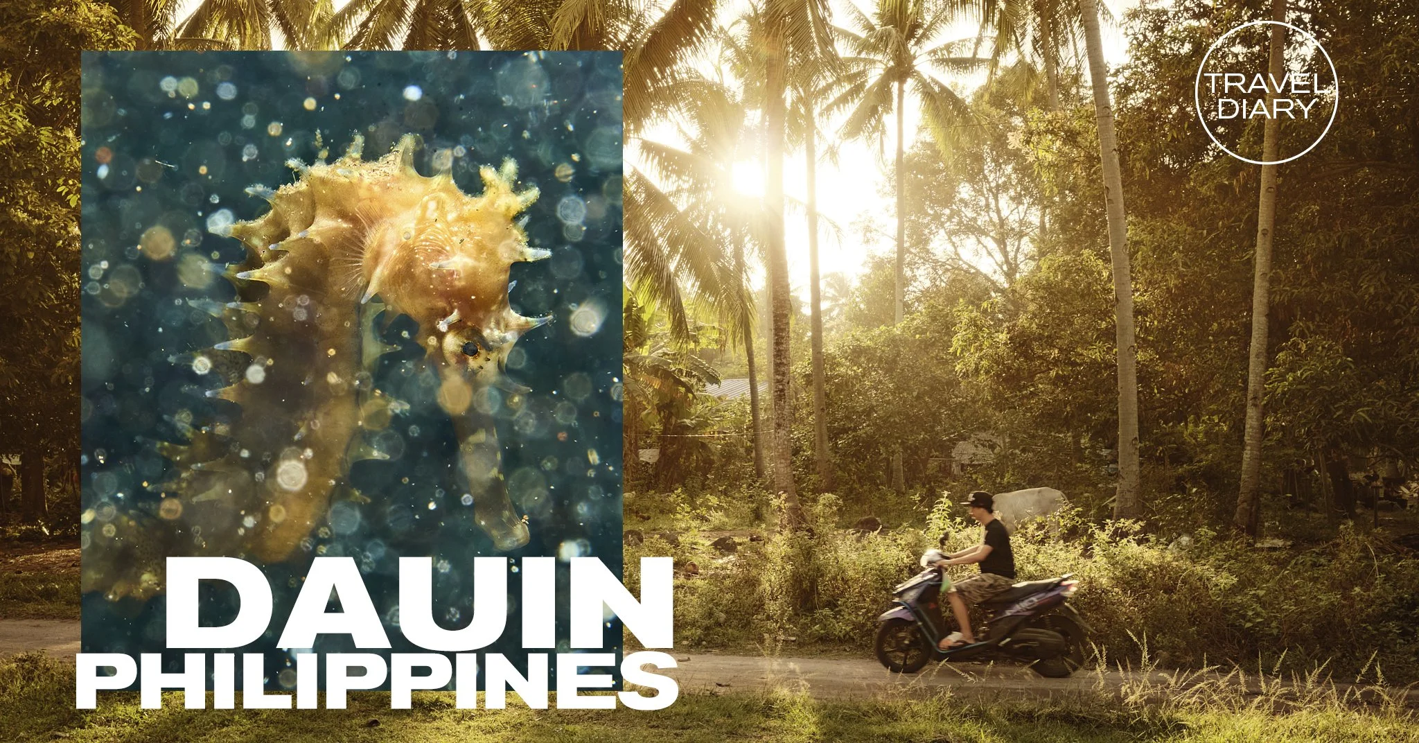 Travel Diary: Dauin, Philippines