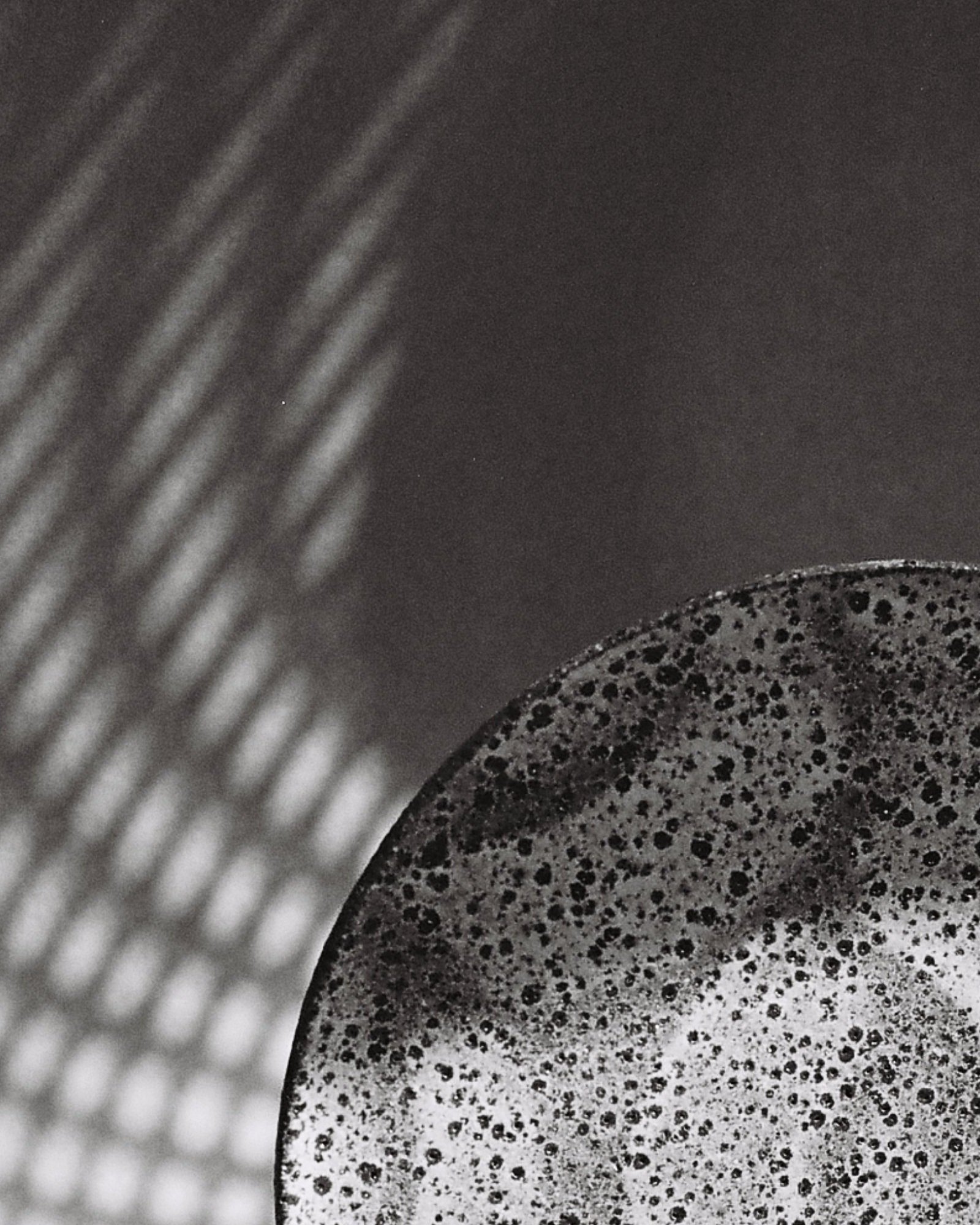 Plate-Speckle-Rachel-Charge-F000379-R1-12-13.jpg
