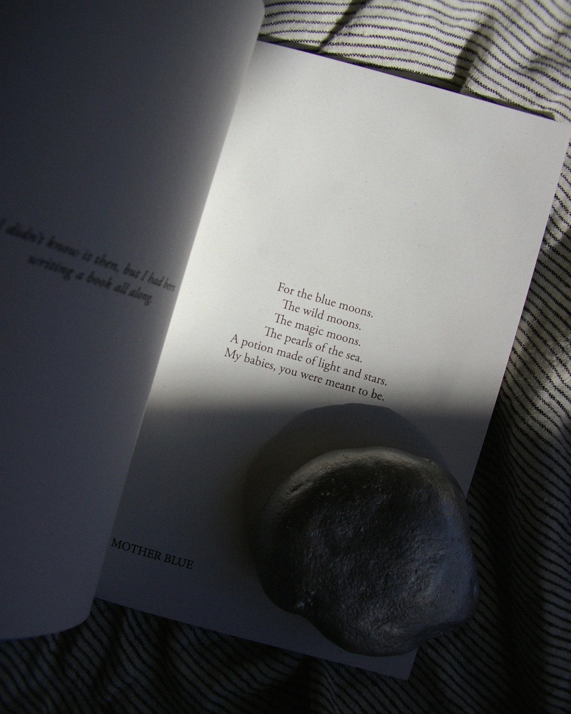 SLR-MOTHER-BLUE-PAGES-BLUE-MOONS-IMGP9346-B-NOISE.jpg