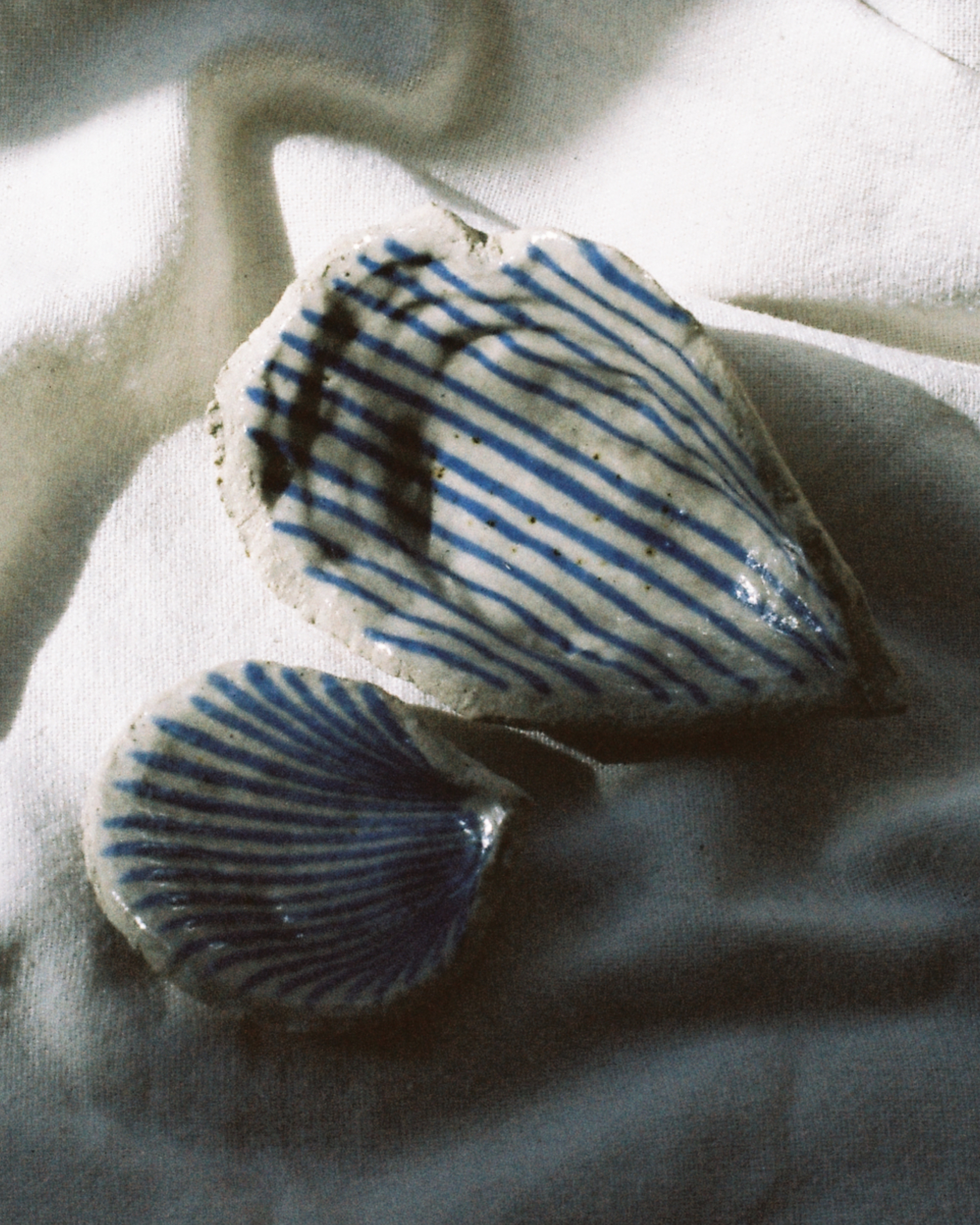 SEASHELLS-BLUE-LINEN-1SHOTISO400-A16-MAY-18-2024-cropped.png