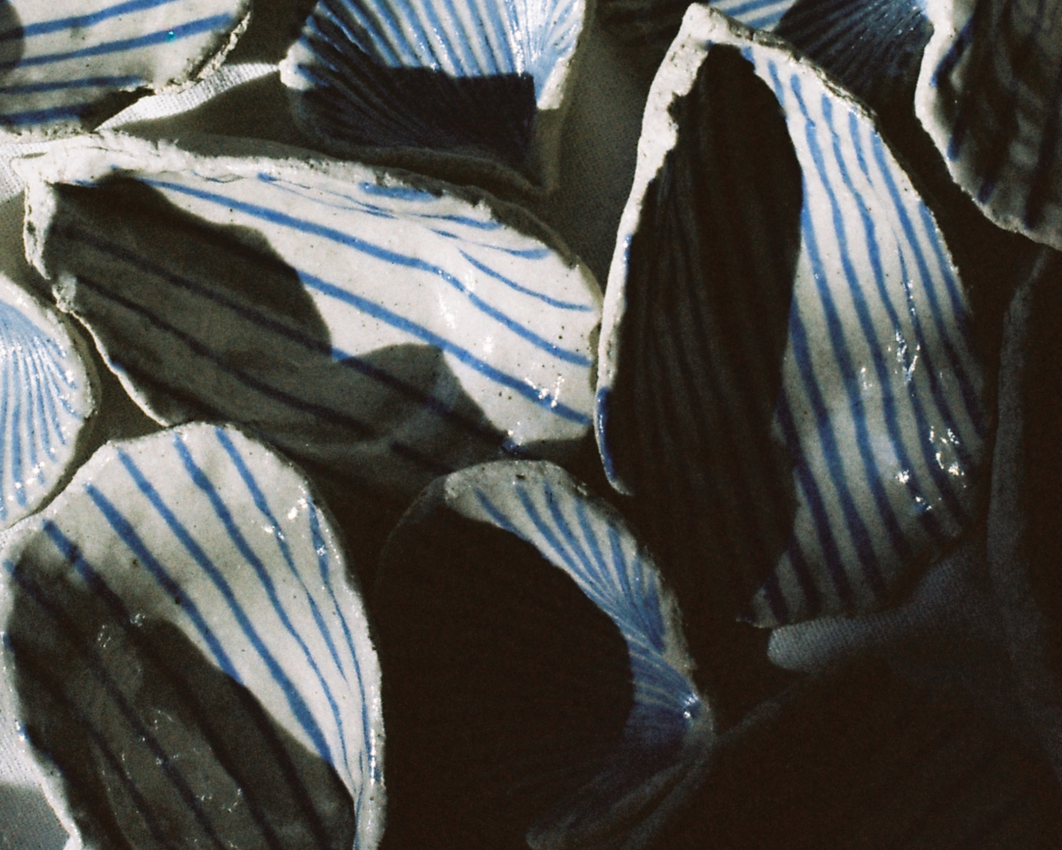 SEASHELLS-BLUE-CLUSTERS-1SHOTISO400-A16-MAY-18-2024-V4-cropped.png