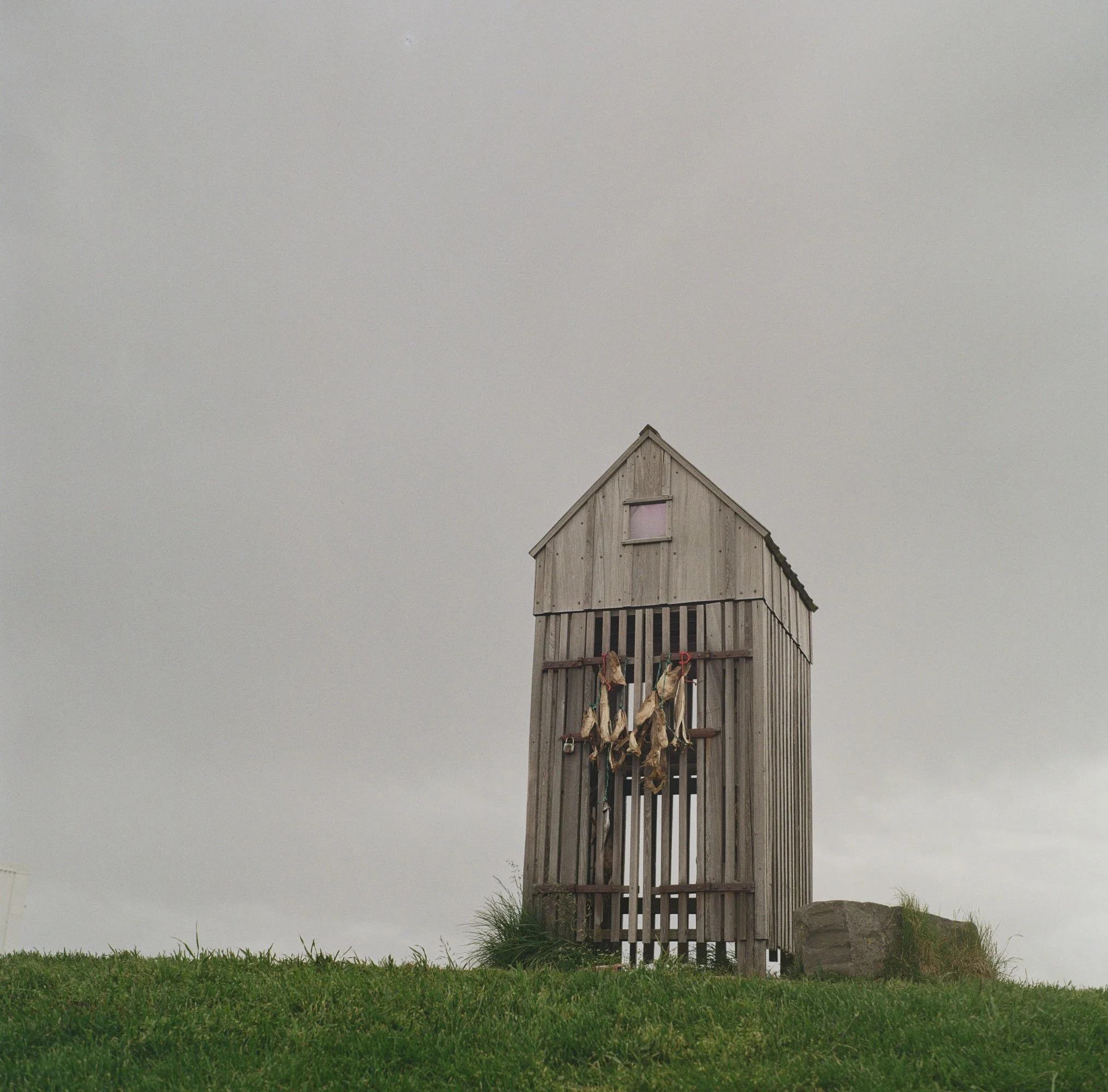 kodak_200_c_41_15043_95365_212402_011113360004_1.jpg