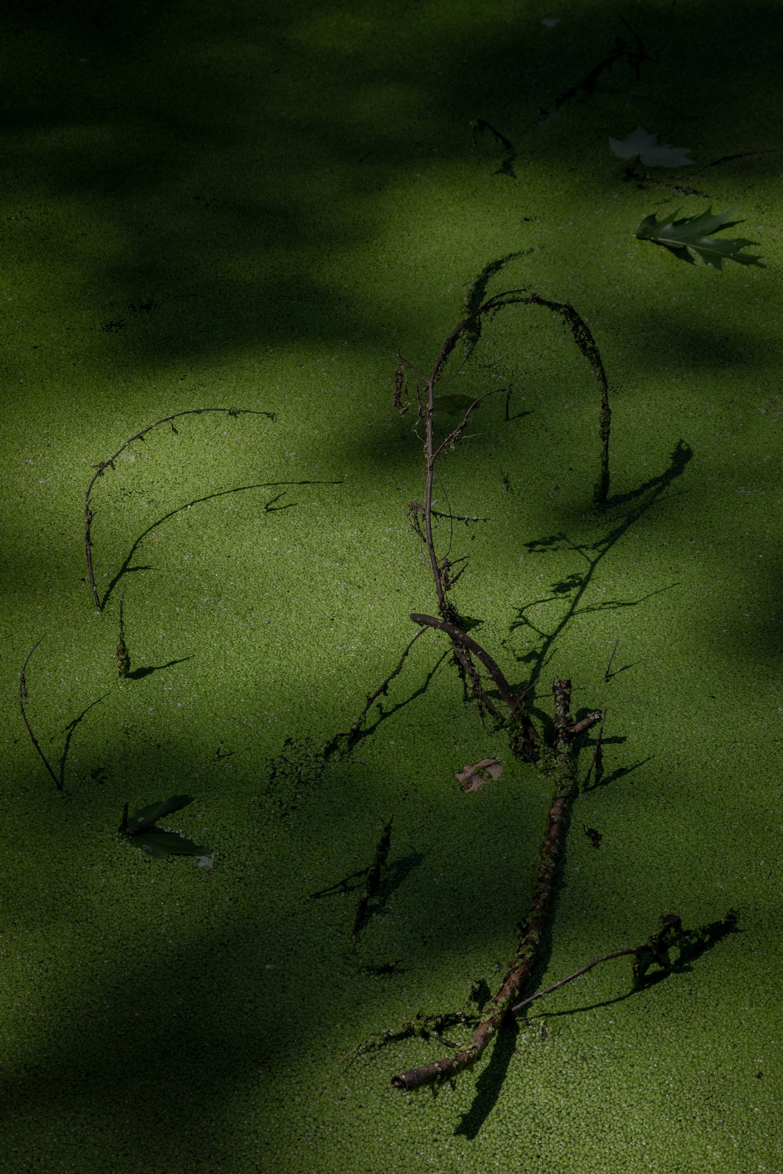 134A1502.jpg