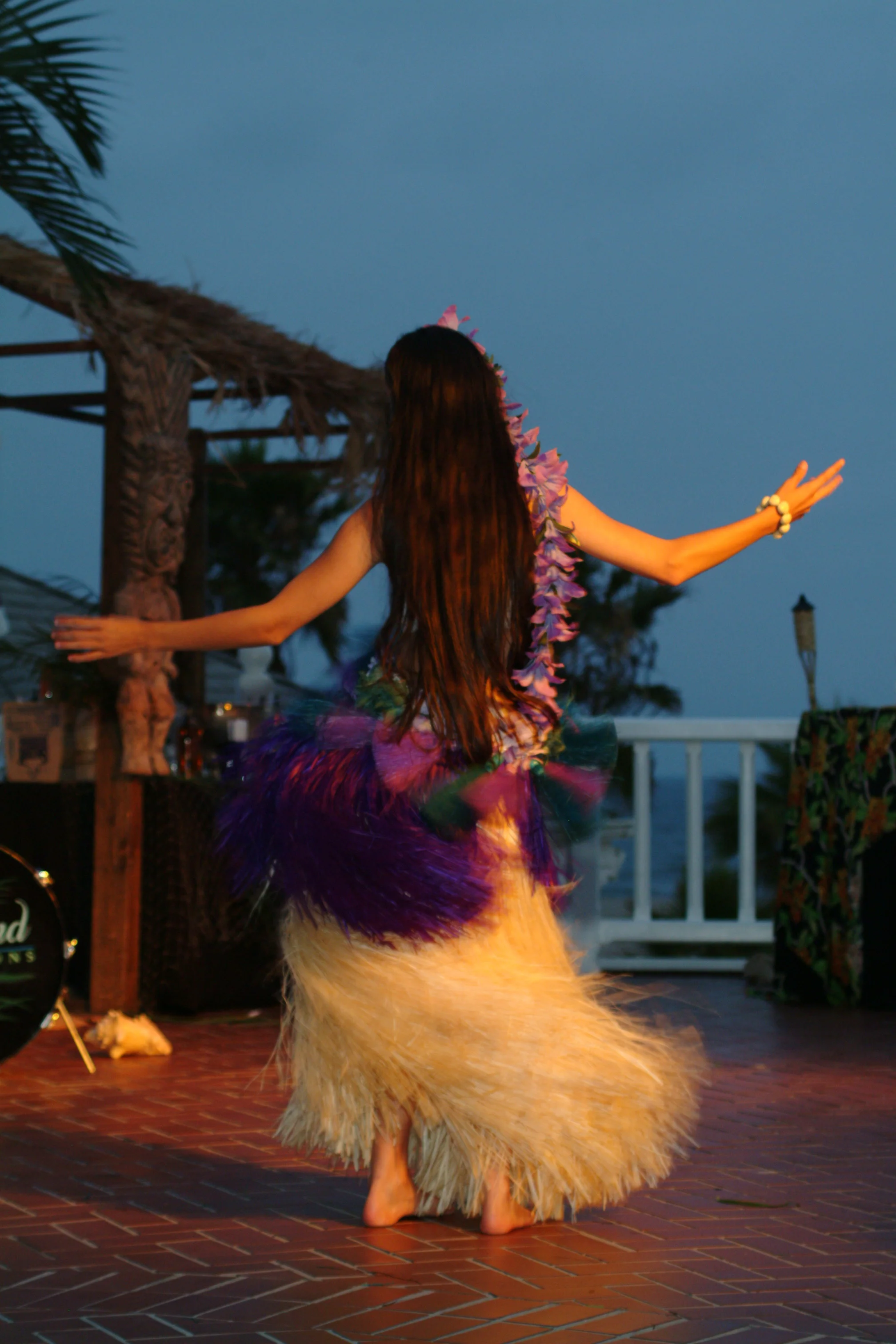 hula dancer.jpg