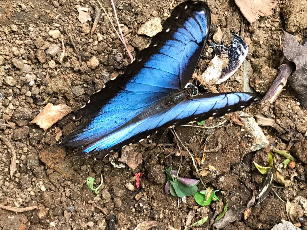 038-Monteverde-2019.jpg