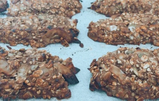 Banana and Oat Bars