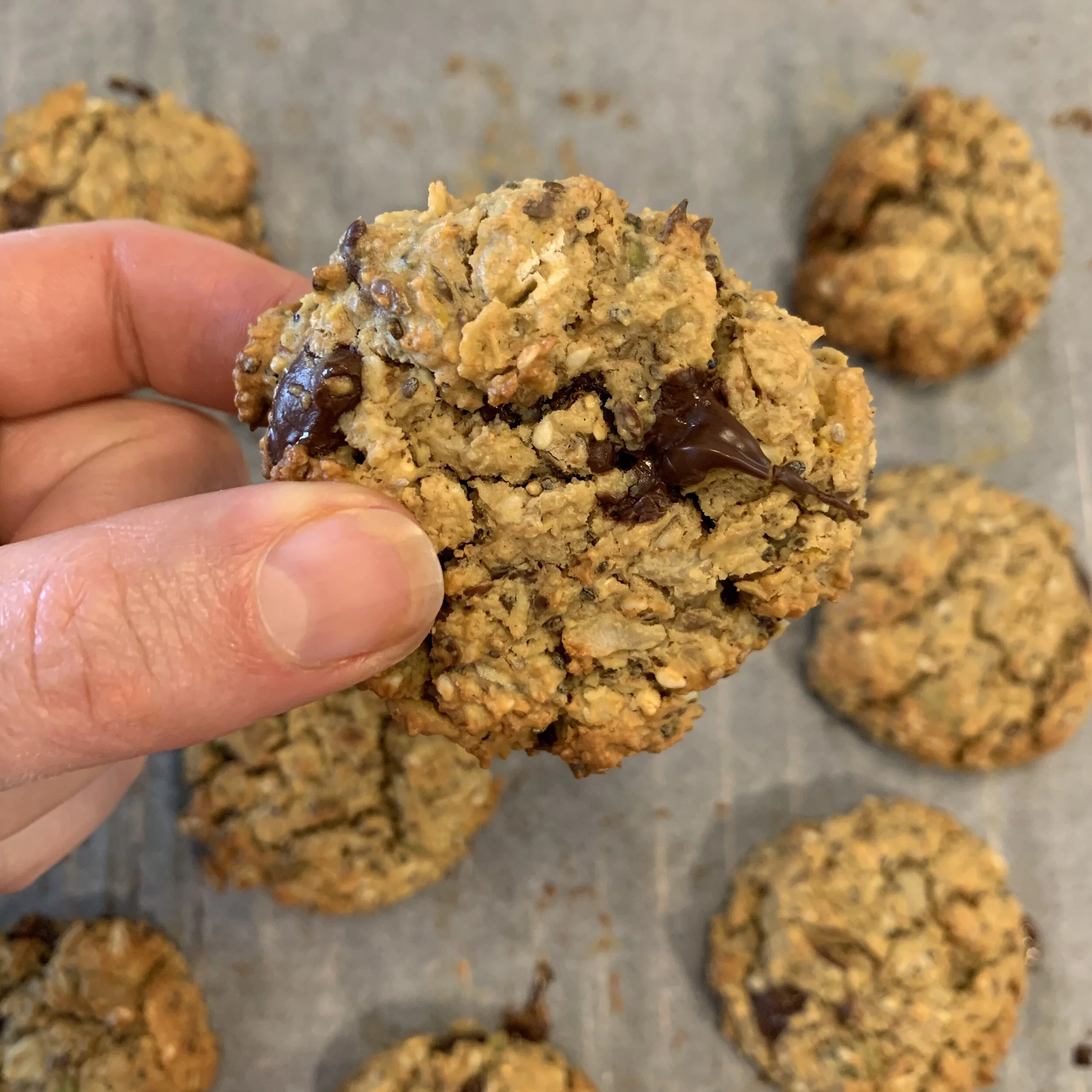 High protein oat &amp; choc chip cookies