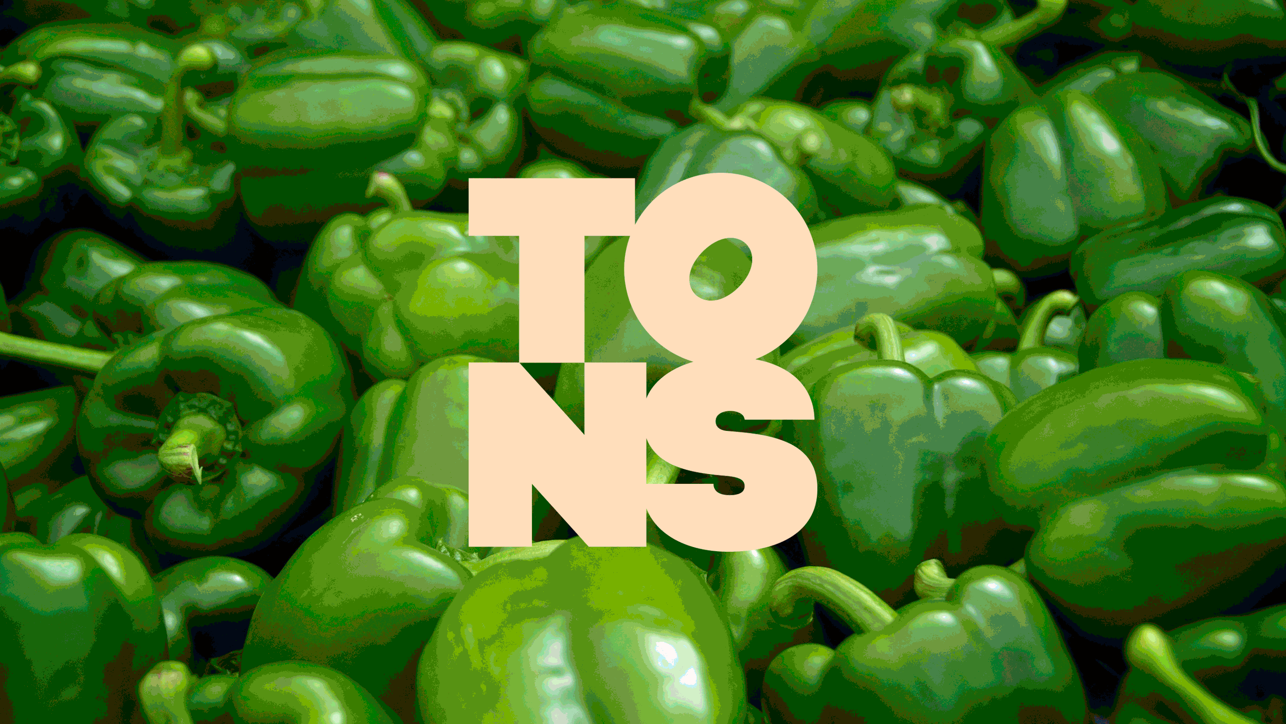 logo.gif