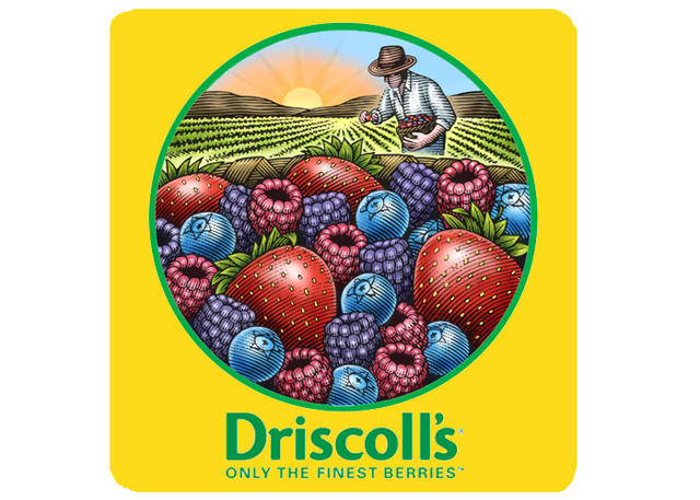 Driscoll_s logo.jpg