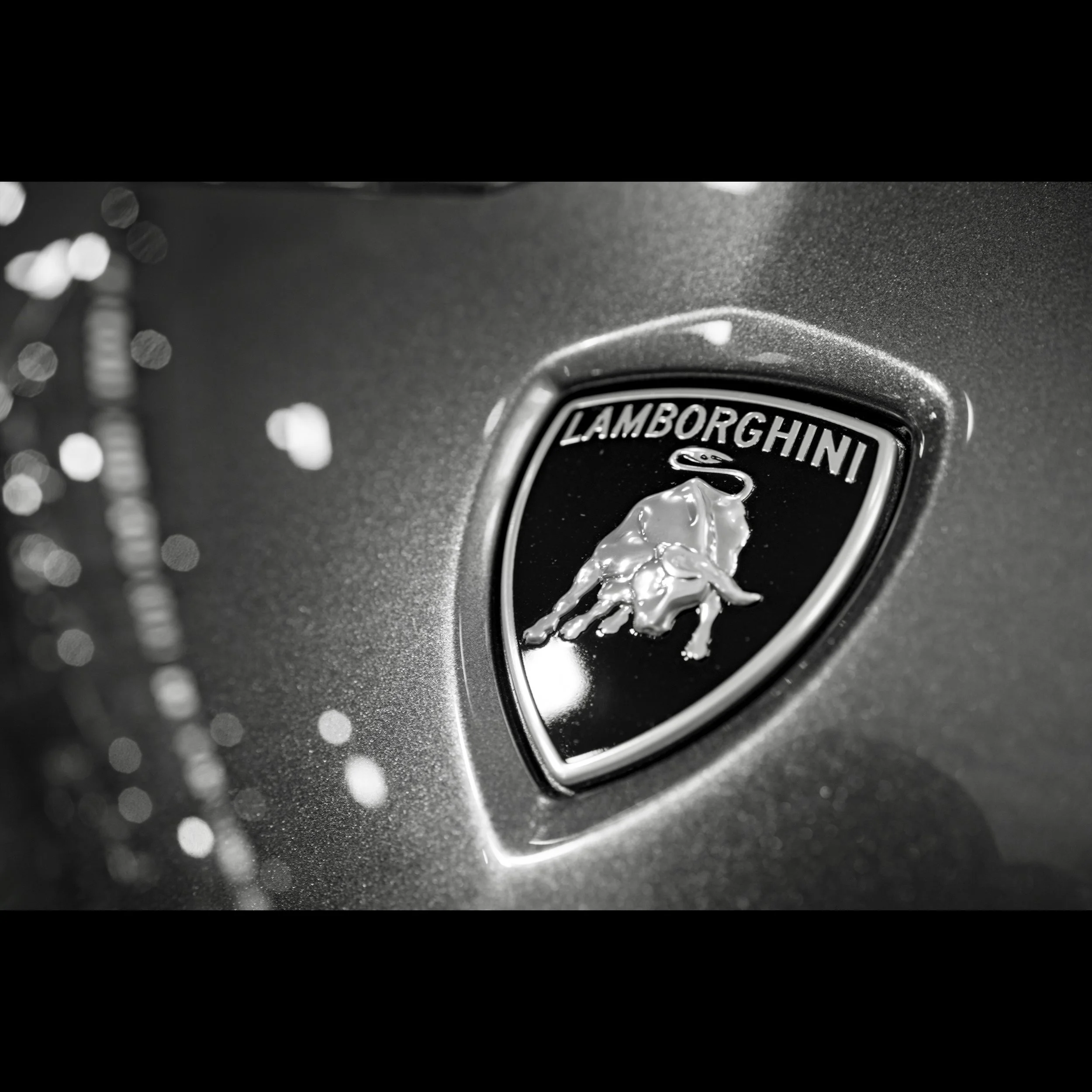 lamborghini badge.jpeg