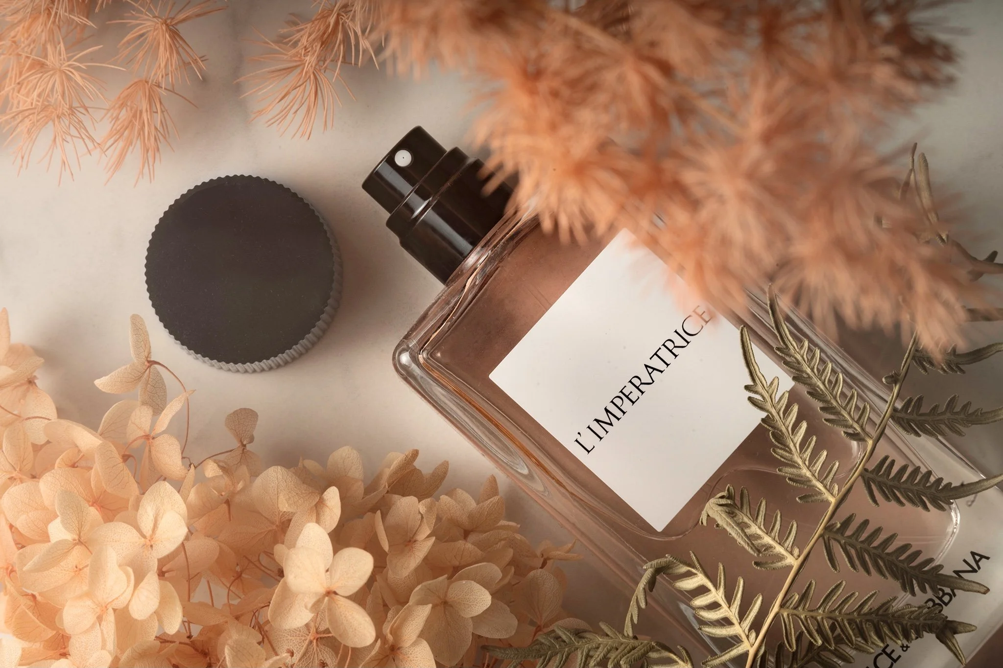 DSC01379-Edit copy.jpeg