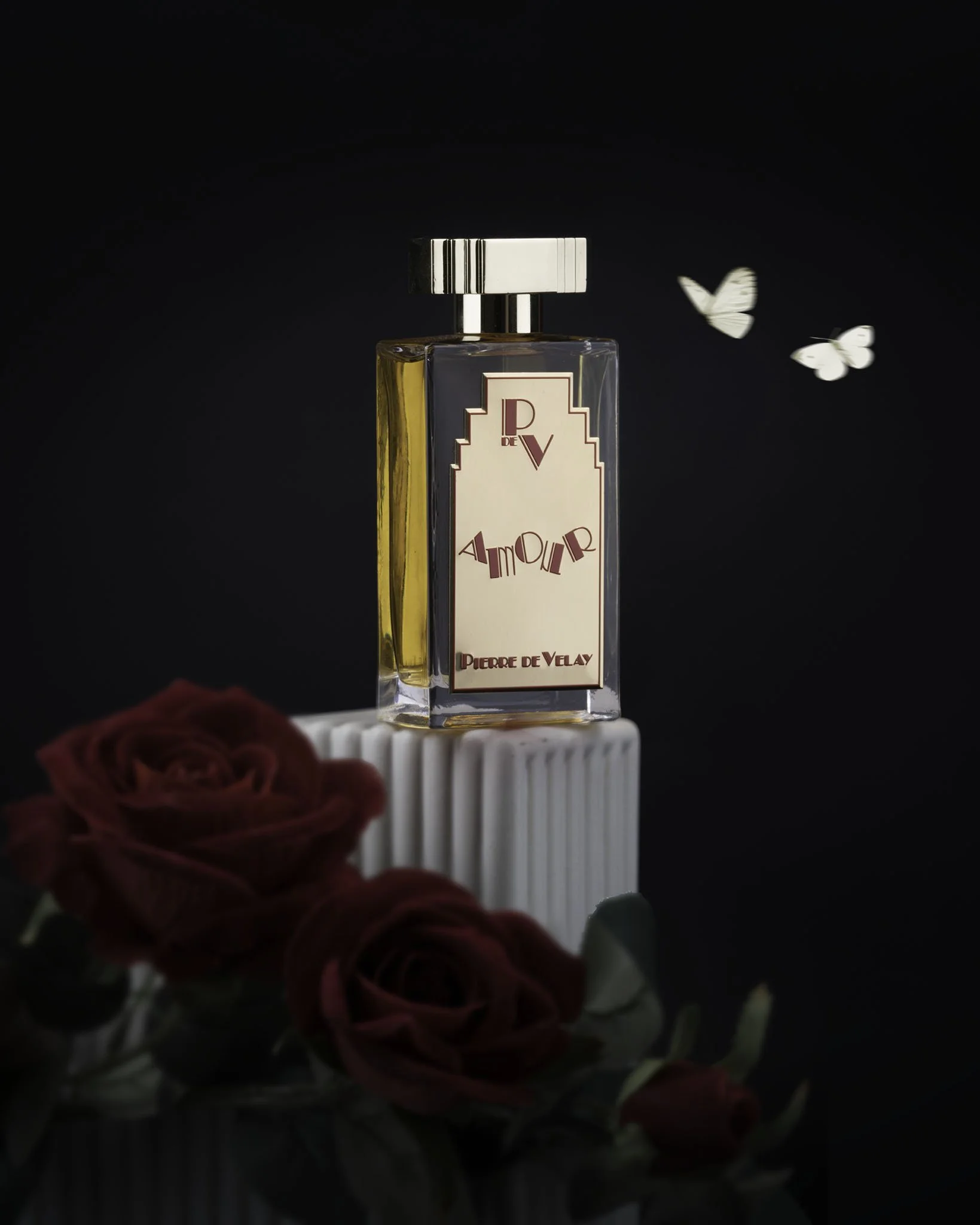 nnimDSC09769-Edit copy.jpeg