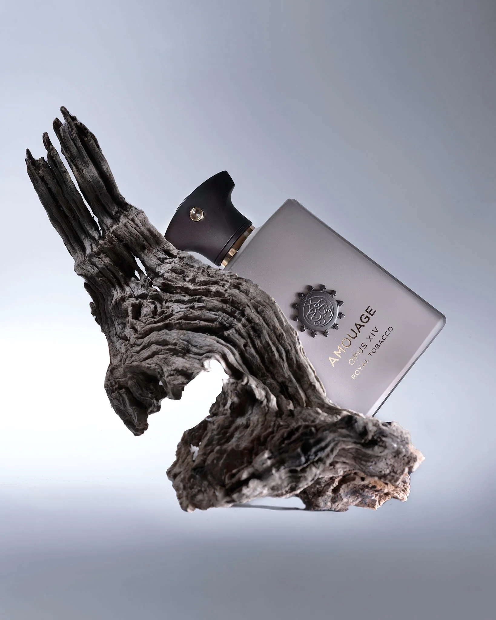 DSC01367-Edit copy.jpeg