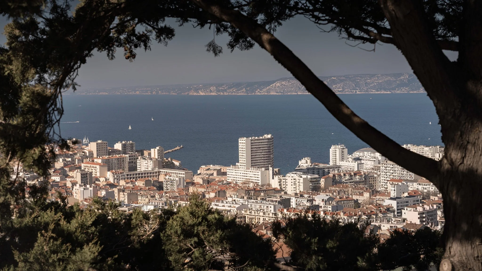 DSC03614-Edit copy.jpeg