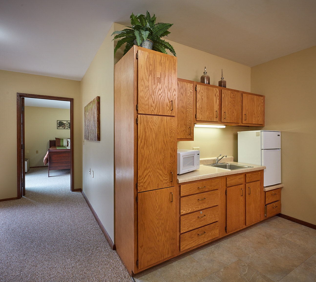 One Bedroom Efficiency Apartment - Kitchen