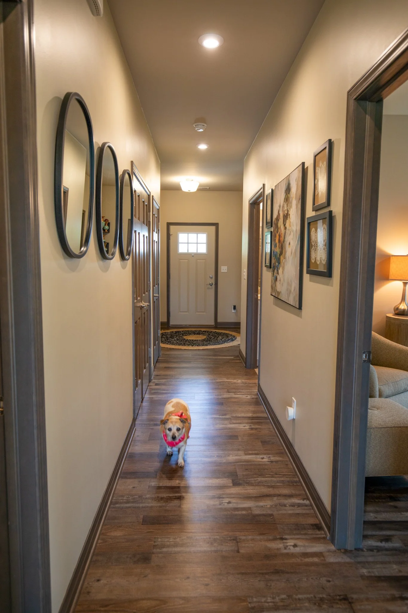 4218 Meridian Woods Drive New Construction 23.jpg