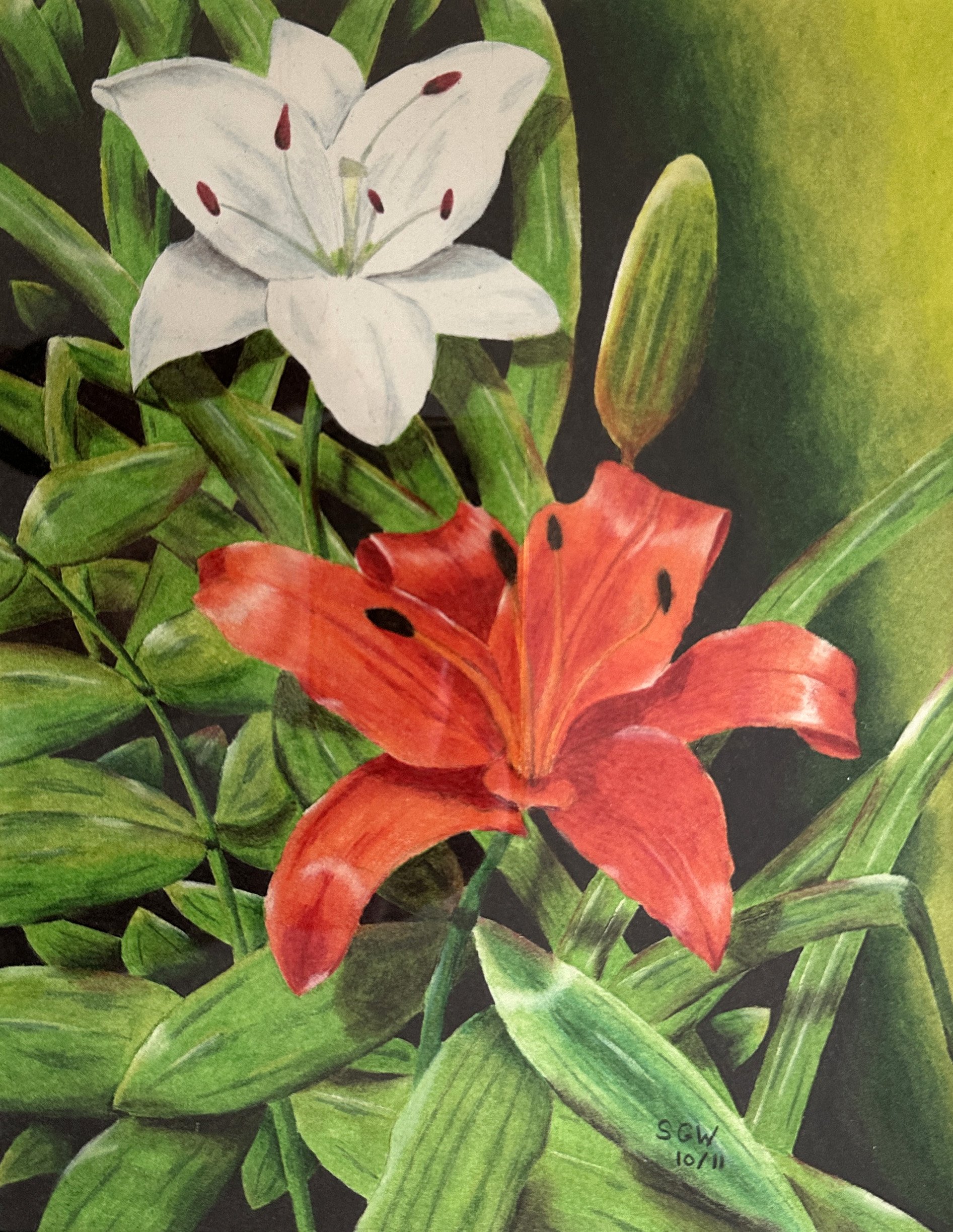 Stu Walesh - Drawing on the Past -  The Village Gallery