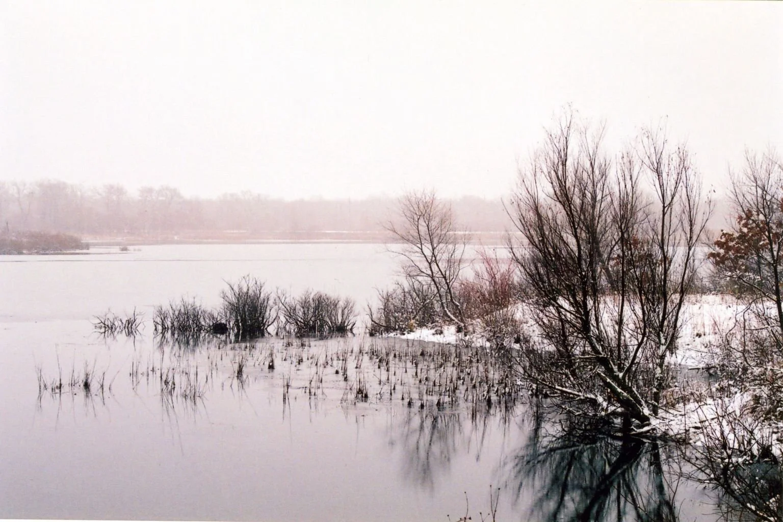 Dunes-Winter.jpg