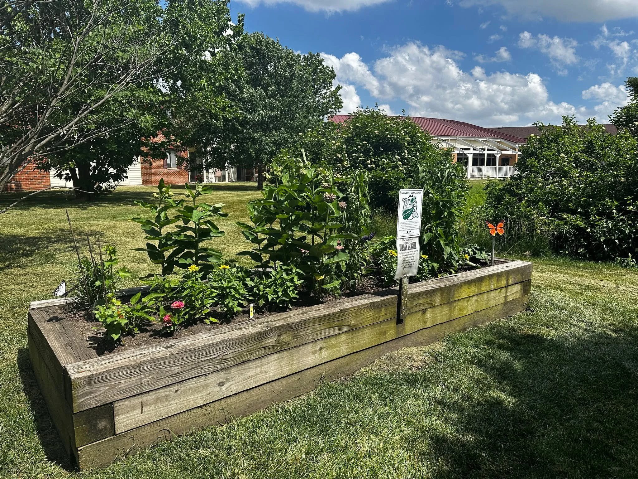 At Pines Village, some of the most meaningful additions to our campus begin with the passion and vision of our residents. Our Monarch Waystation is a beautiful example of that legacy. 🦋

Created as a passion project by former resident Jerry, the Mon