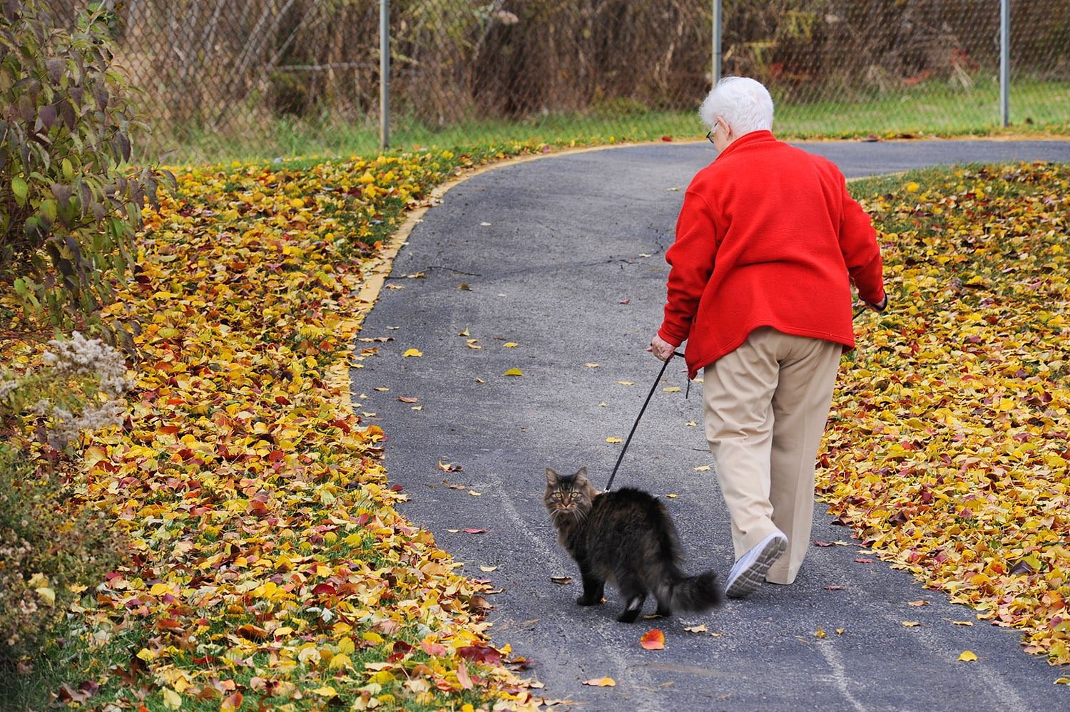 Walking Path.jpg