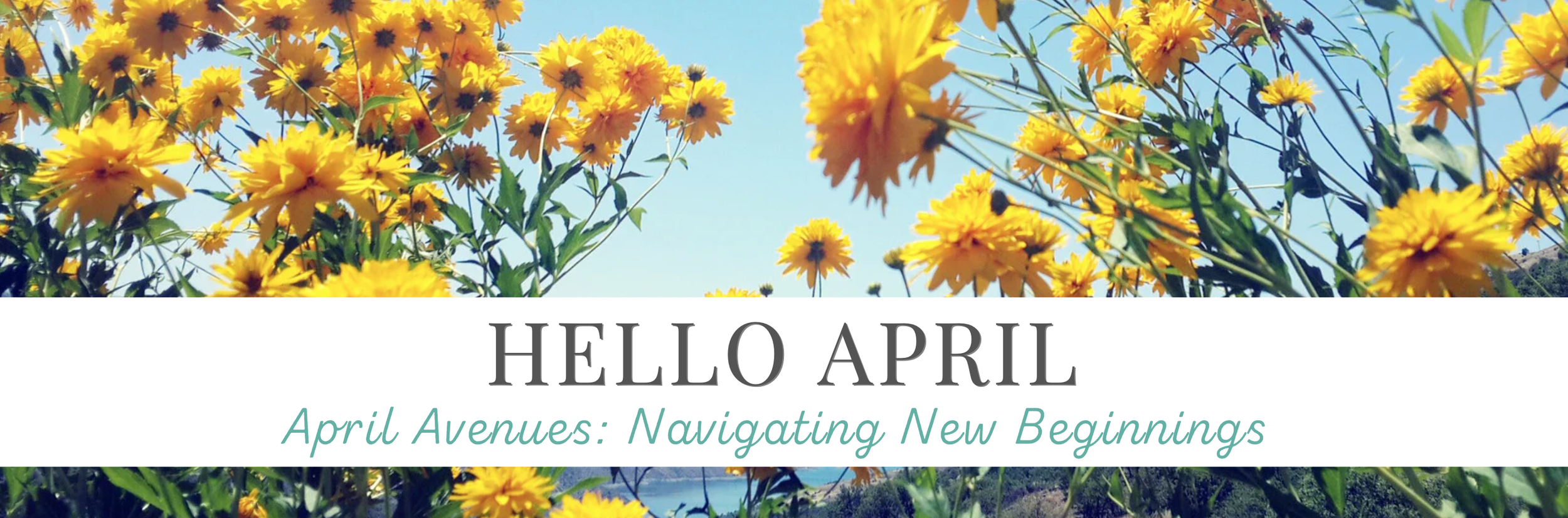 April 2024 Newsletter