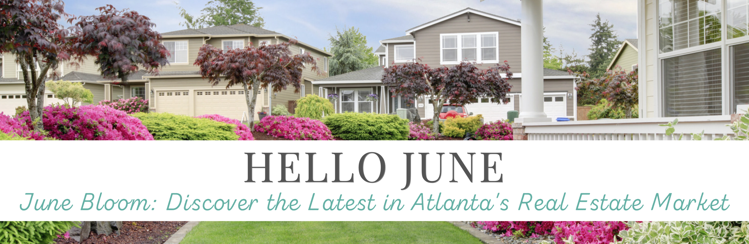 June 2024 Newsletter