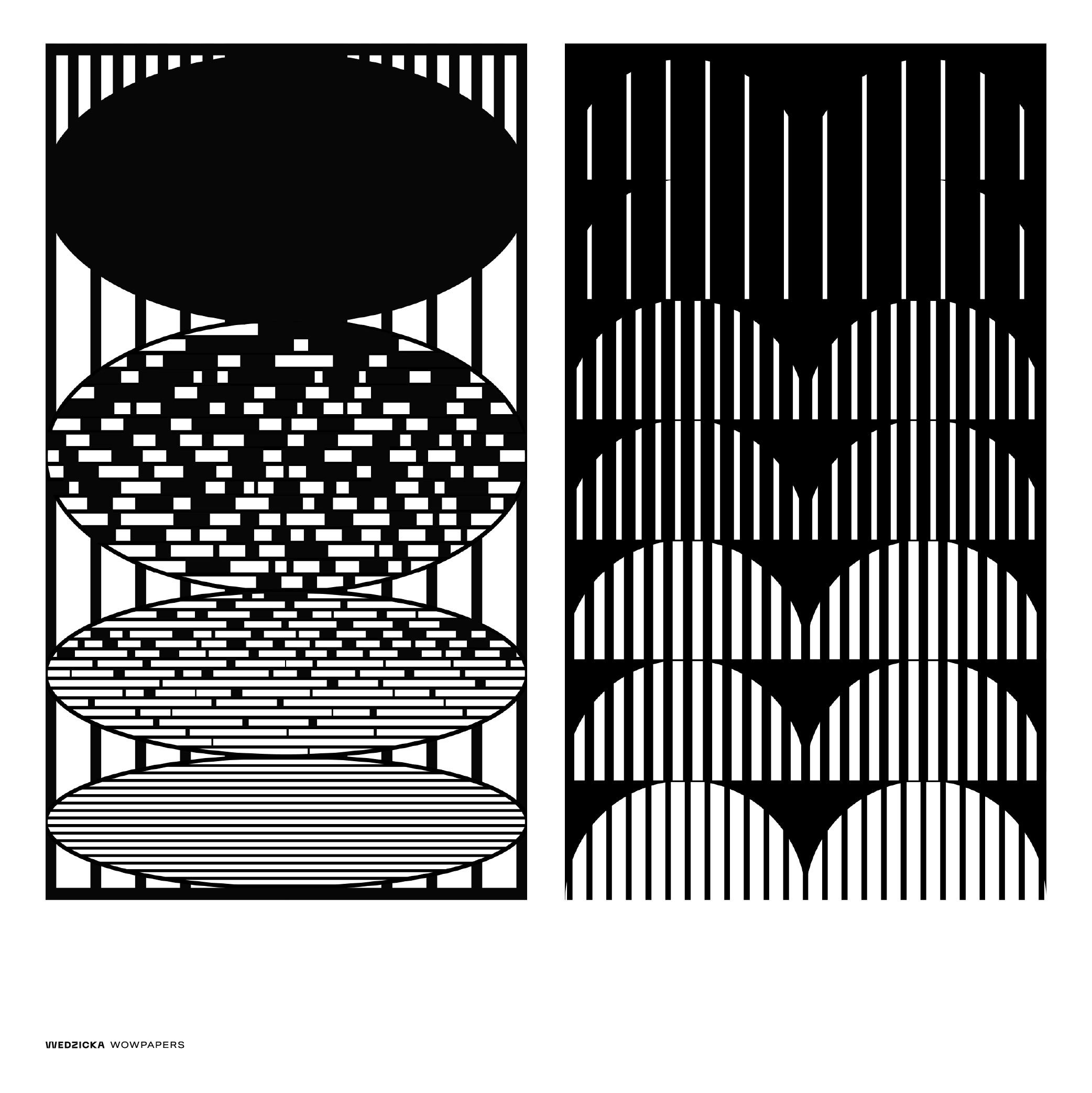 behance-02.png