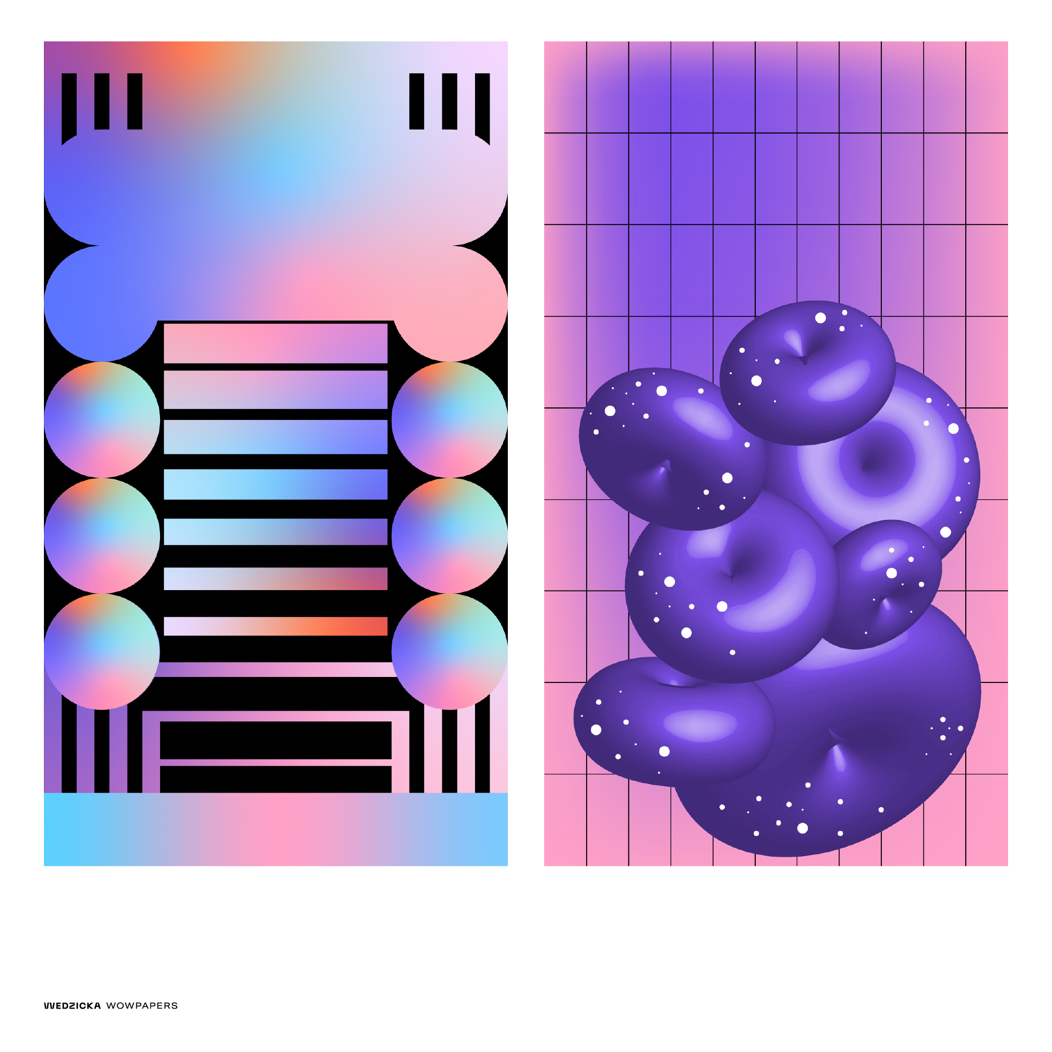 behance-05.png