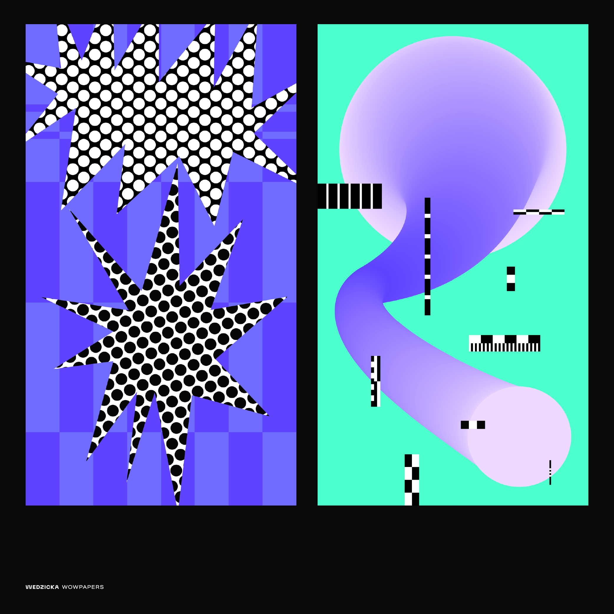 behance-03.png