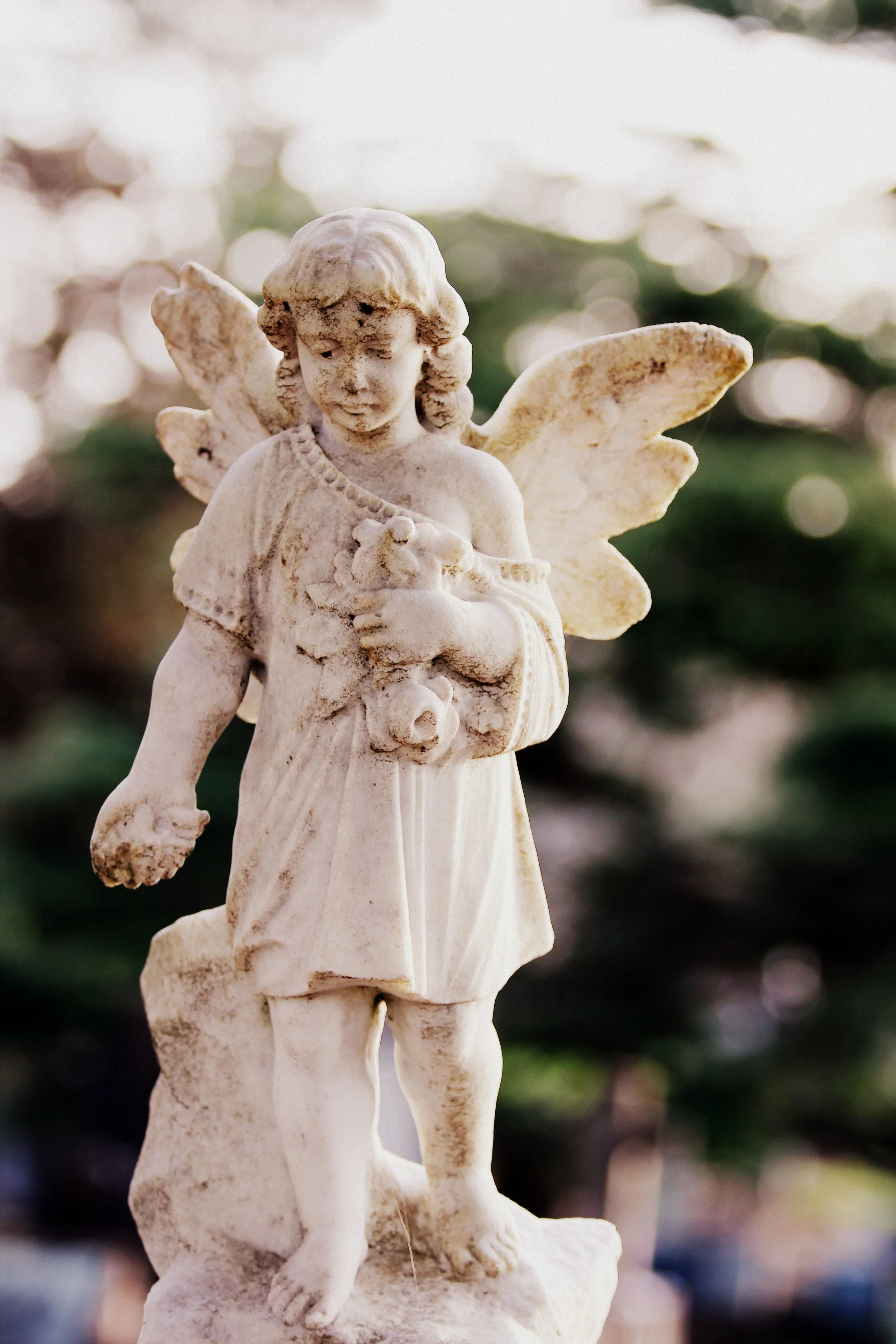 angel.jpg