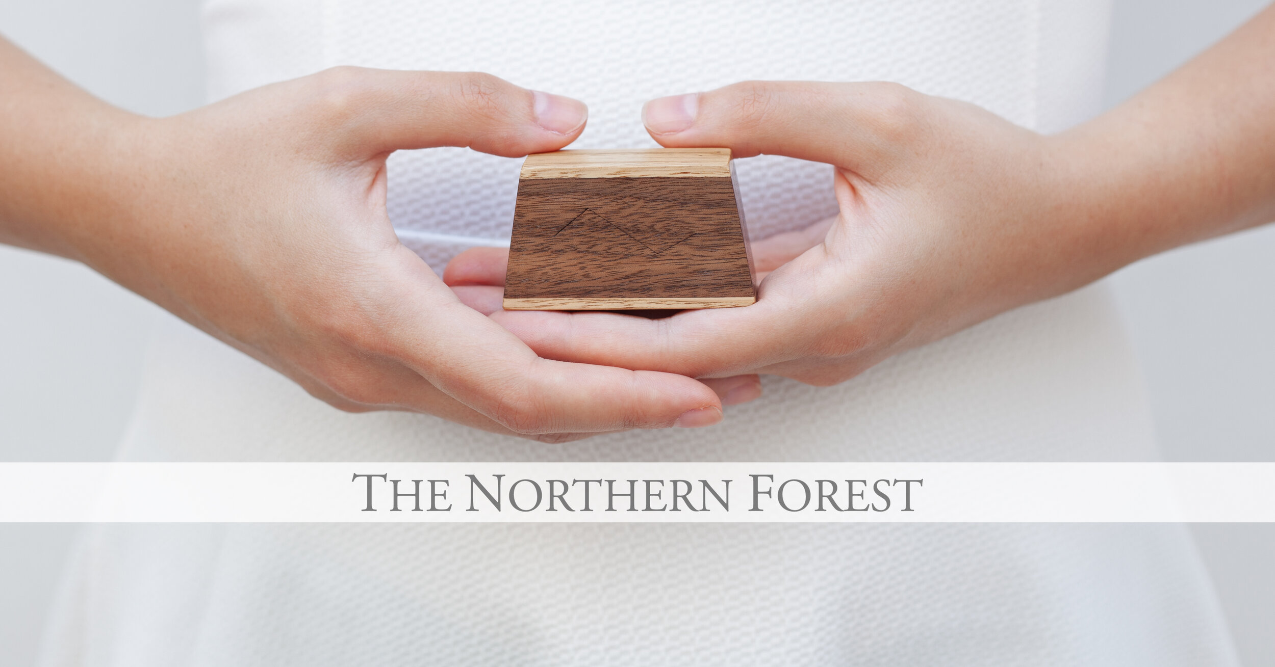 THE NORTHERN FOREST