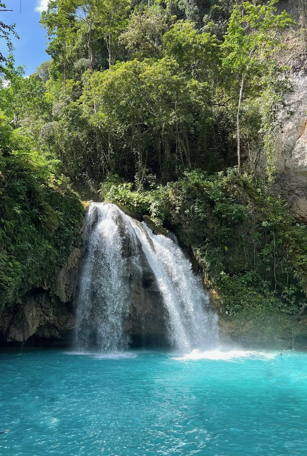 Kawasan falls1.jpeg