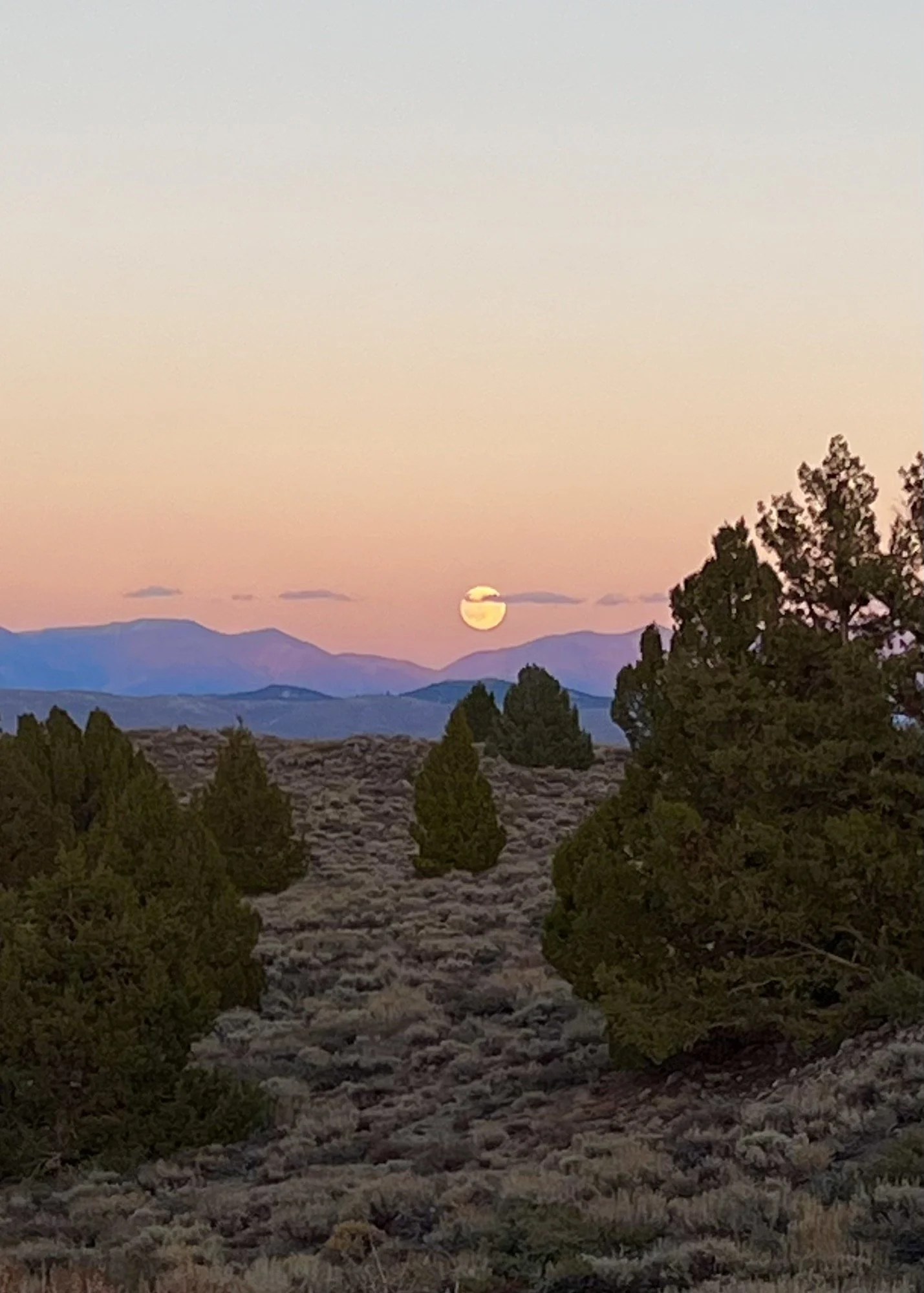 Desert Moon Rise