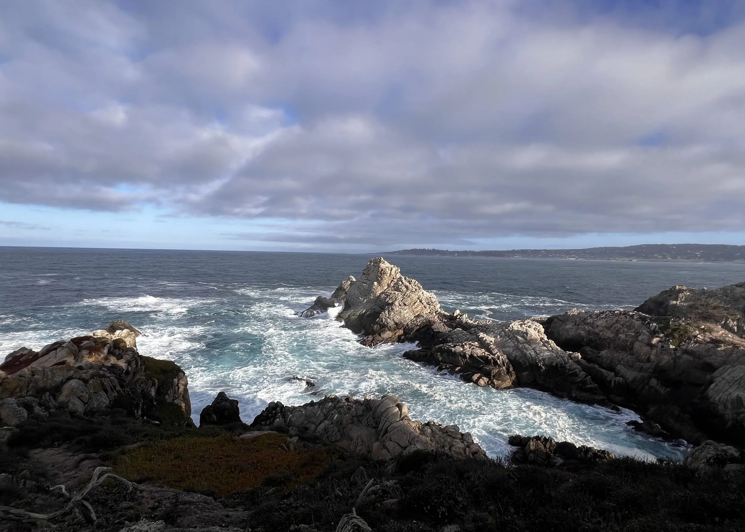 Pt  Lobos, California
