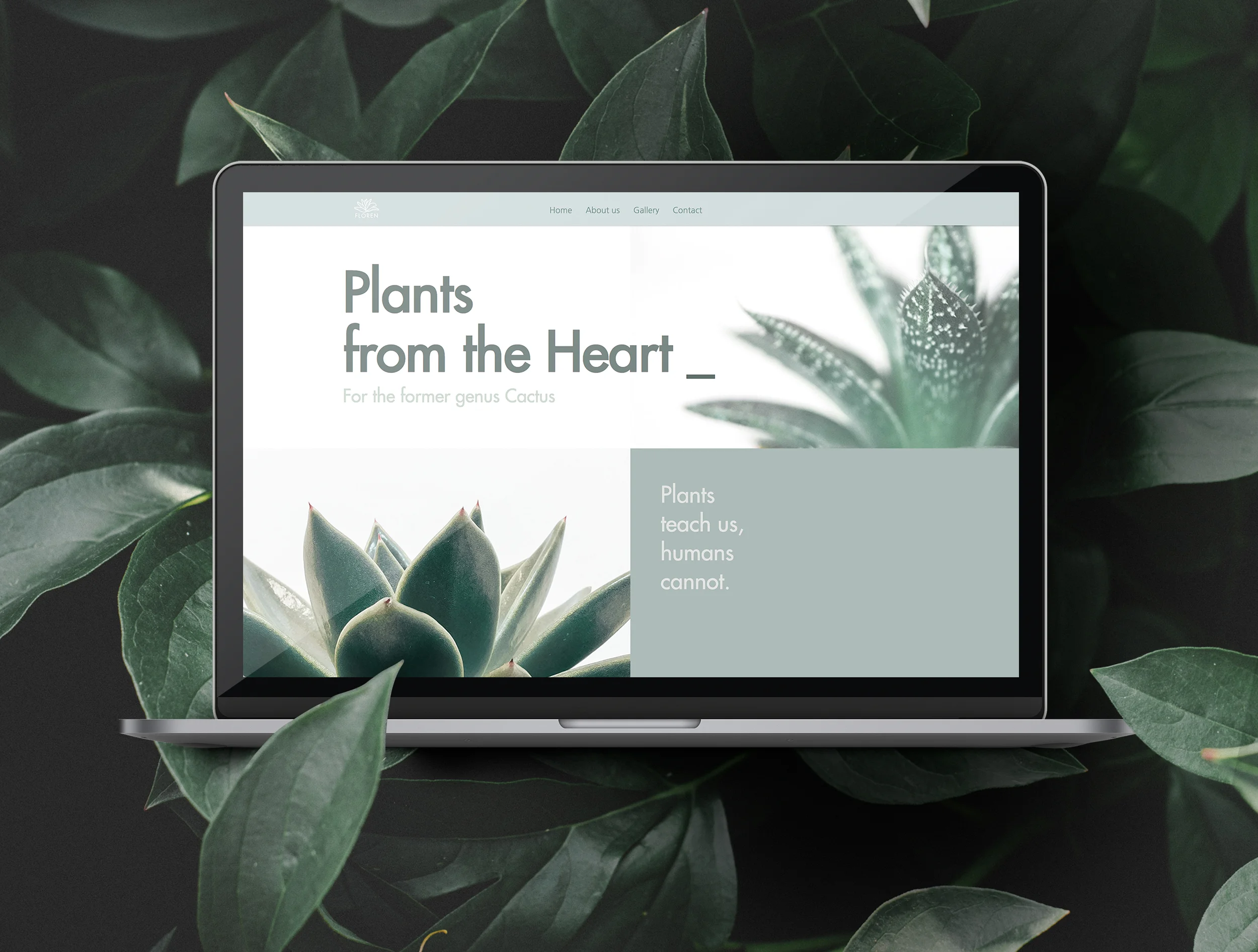 home-page-Mockup-v1.jpg