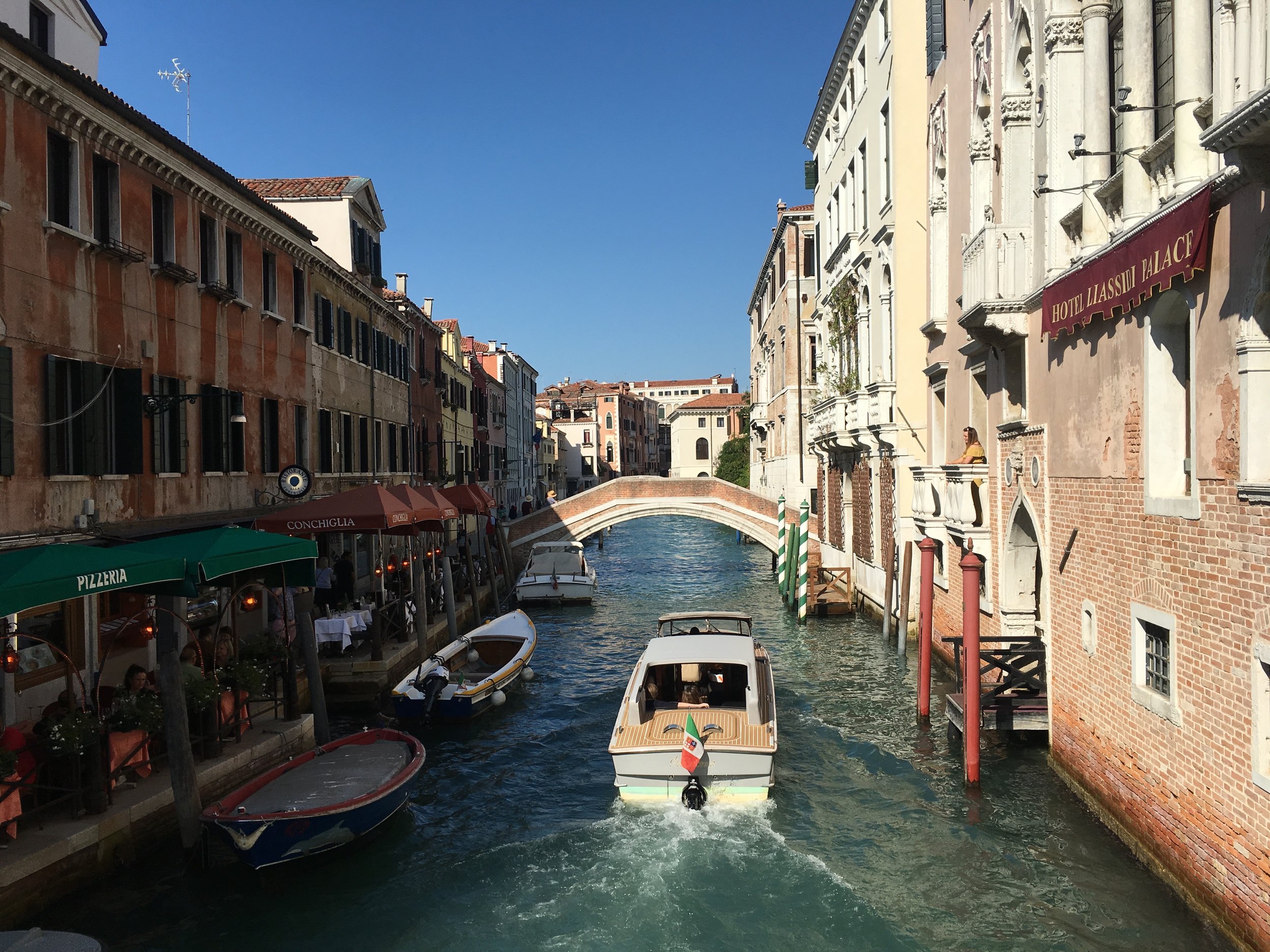 IMG_2663.jpeg
