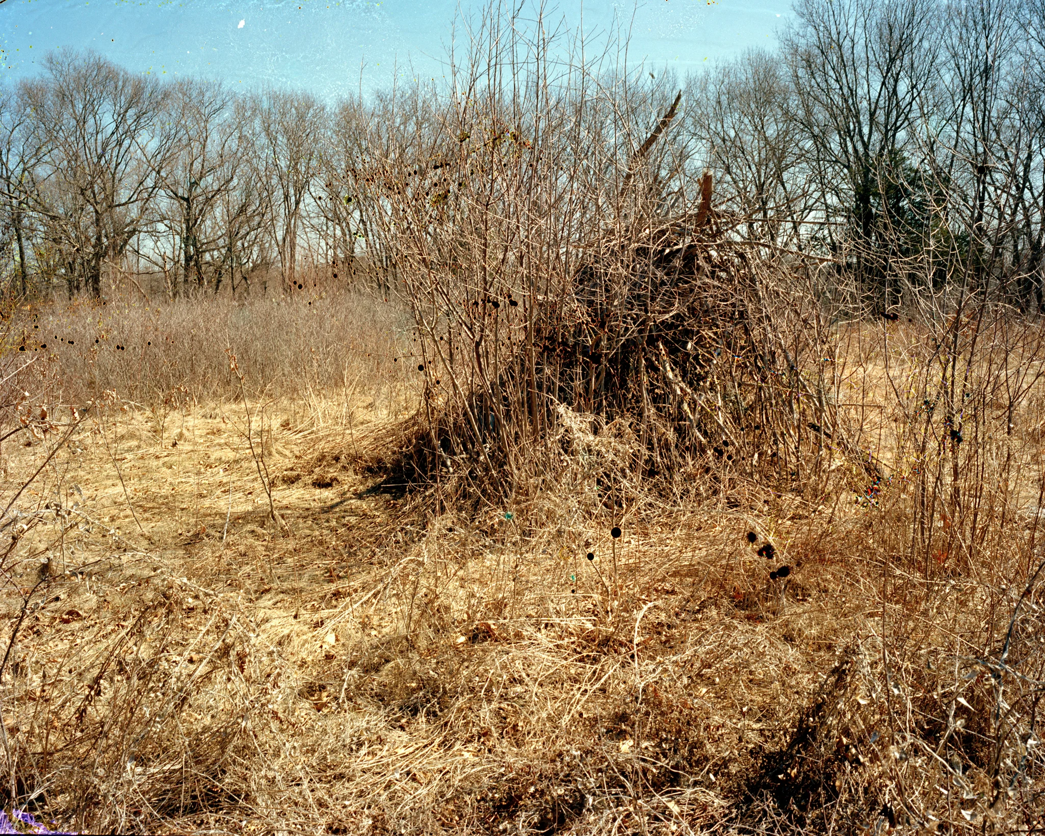 Brook_Farm_02.jpg