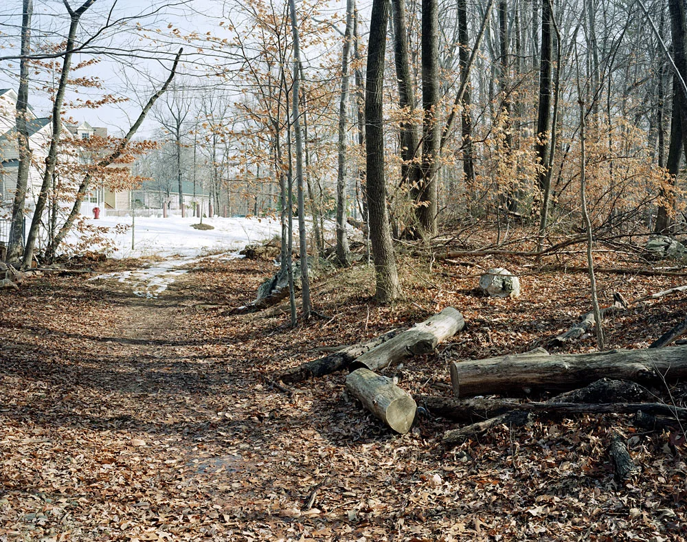An_Independent _Line_8.jpg
