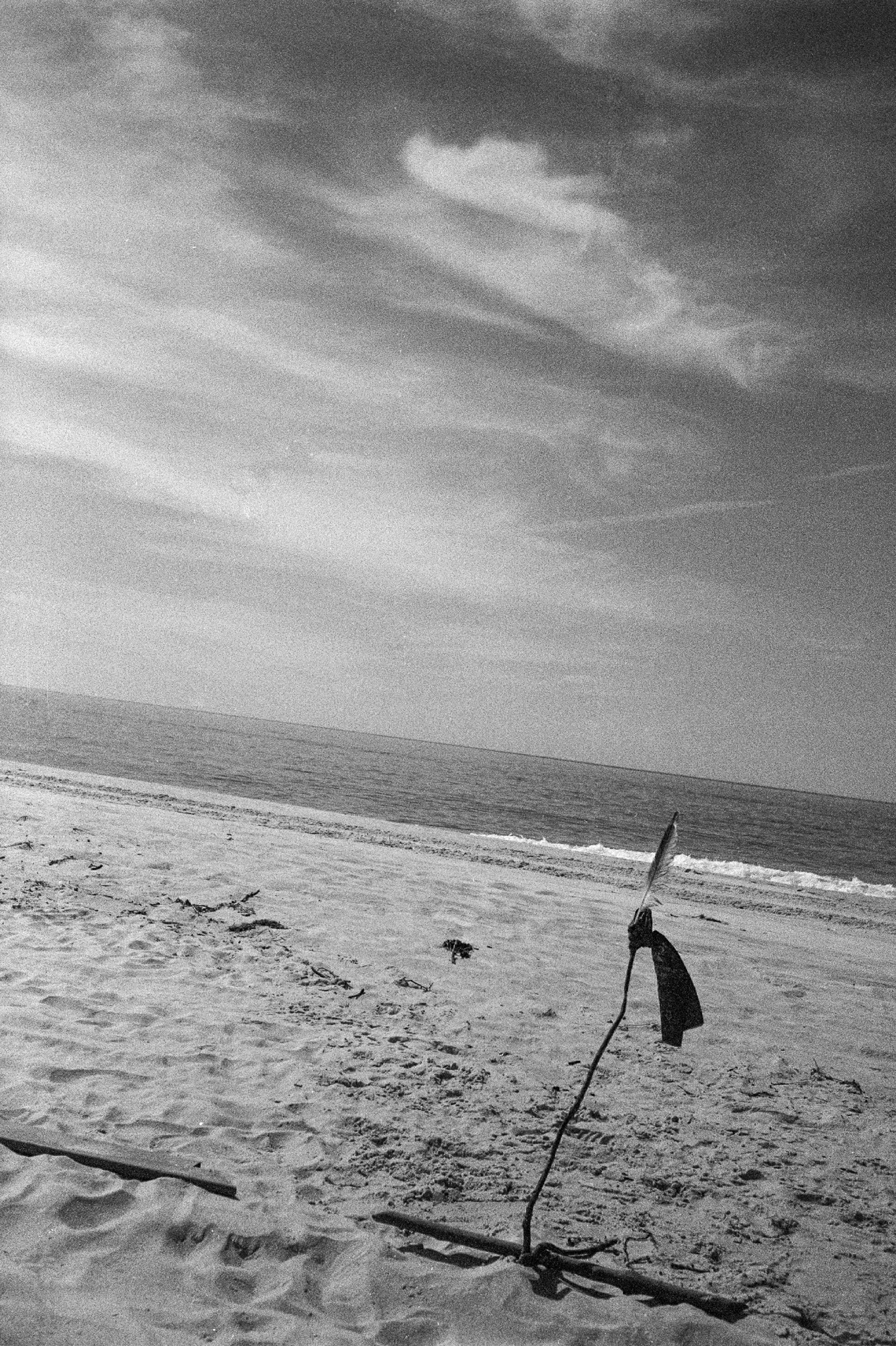 Fire_Island_03.jpg
