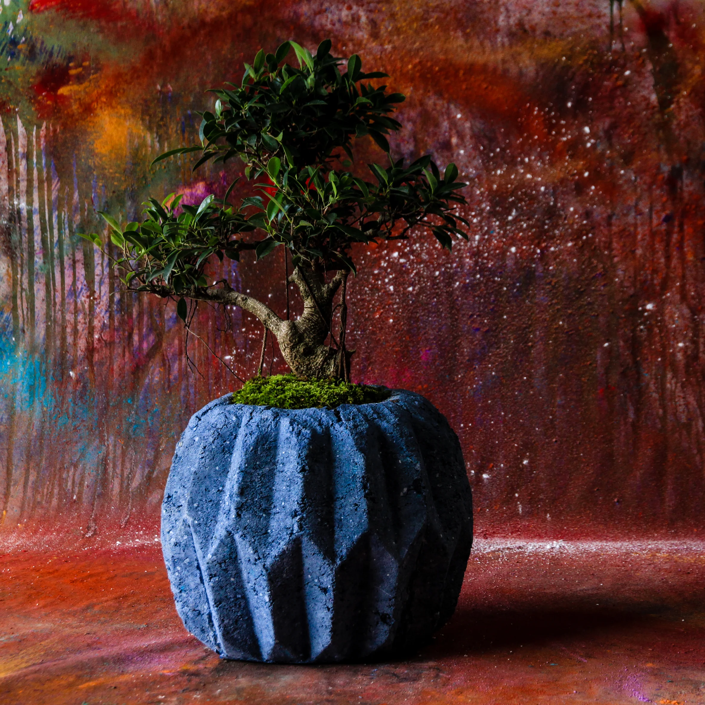General Life.Pulp planter-4.jpg