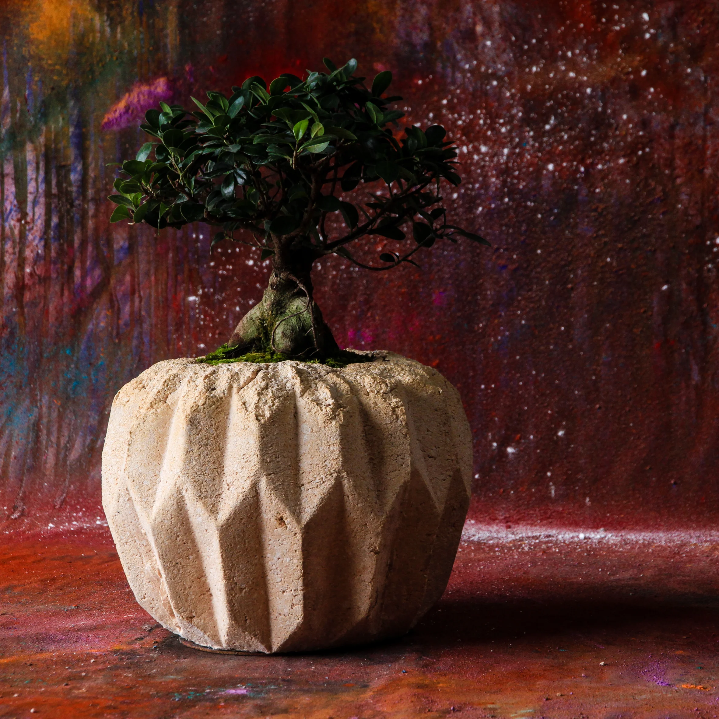 General Life.Pulp planter-3.jpg