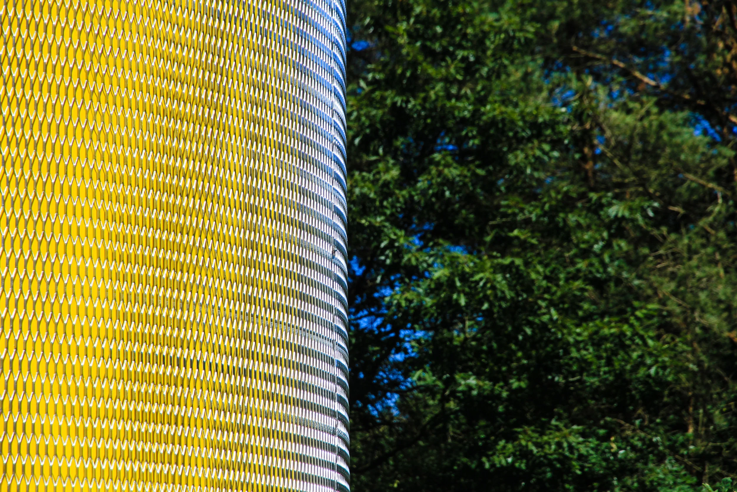 STUDIOMORISON.ESCAPEVEHICE9-3.jpg